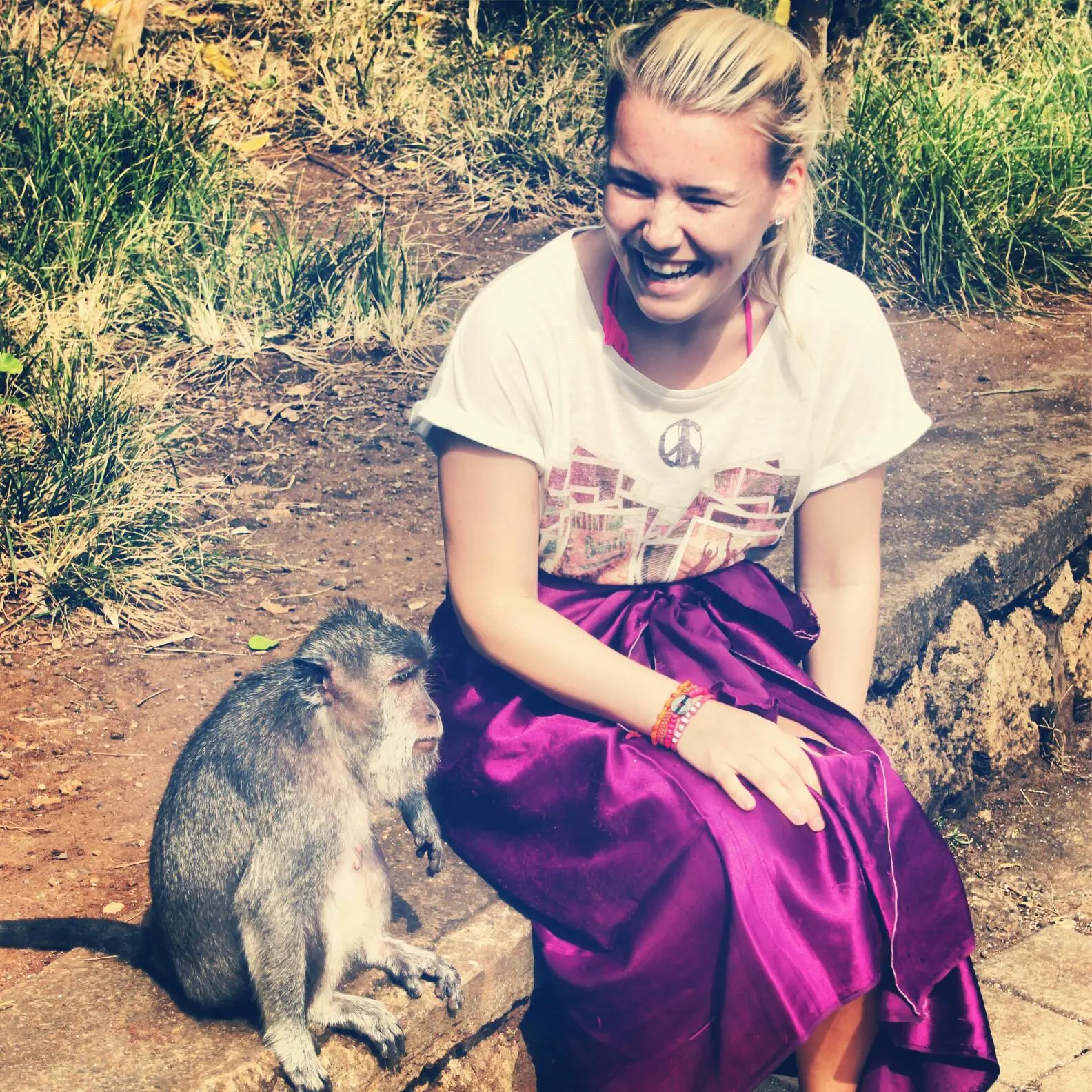 Blonde girl wearing a white t-shirt and purple sarong sitting next to a grey monkey while laughing at Uluwatu Temple.