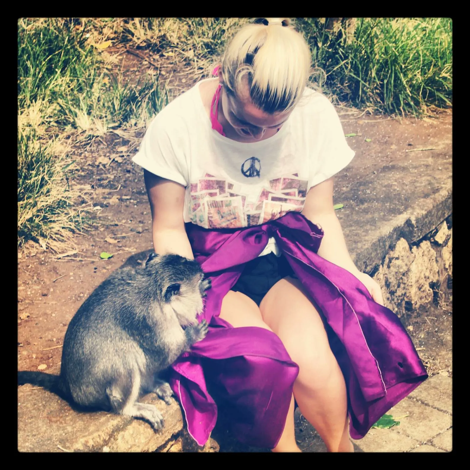 Blonde girl wearing a white t-shirt and purple sarong sitting next to a monkey that is looking for food inside the sarong at Uluwatu Temple in Bali.
