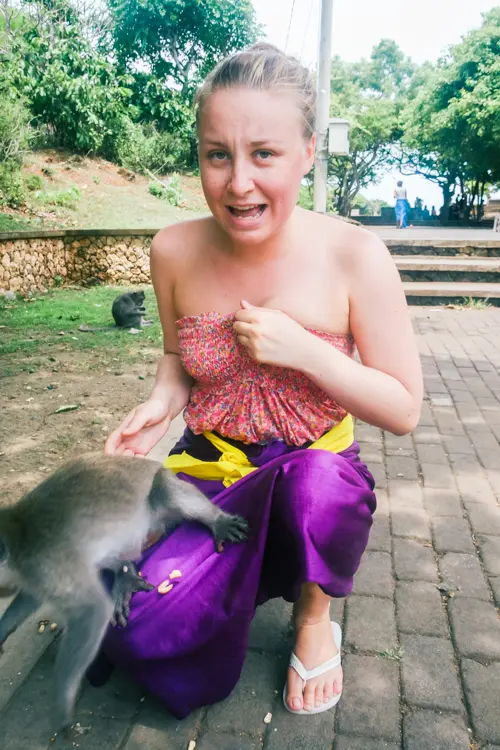 Girl wearing a pink top and purple sarong sitting on the ground at Uluwatu Temple while screaming to the camera and a monkey jumping off her lap.