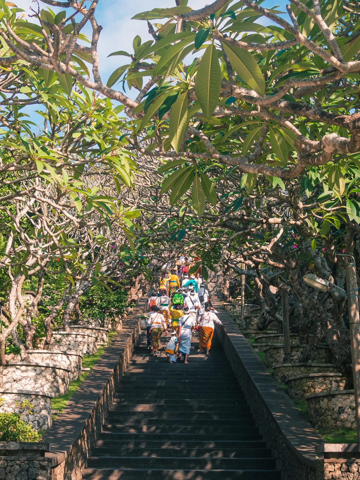 People in traditional Balinese ceremony clothing walking up stone stairs under a canopy of green leaves at Uluwatu Temple.