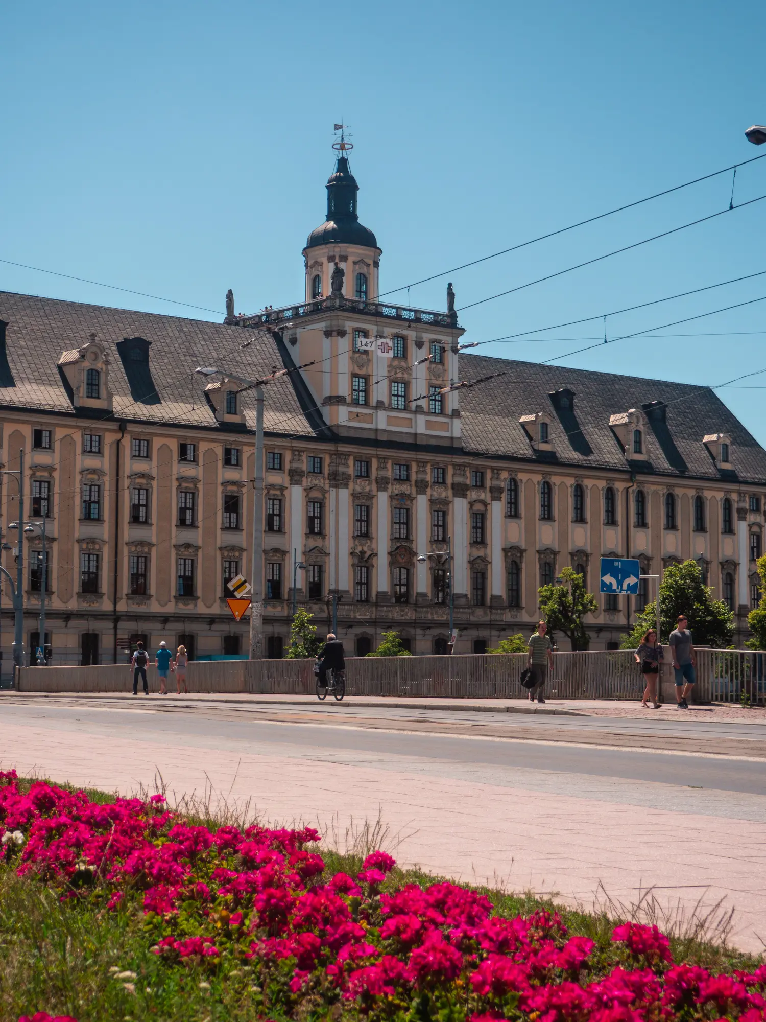 Old white and yellow Wroclaw University building with pink flowers in front.