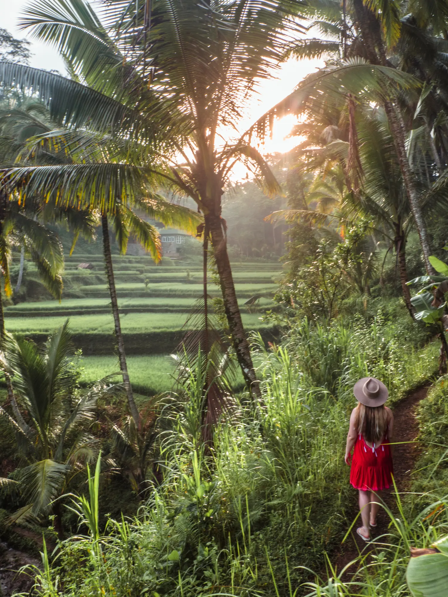 Woman in beige hat and red dress walking along a path in the jungle looking out over rice terraces during sunrise in Bali or Lombok.