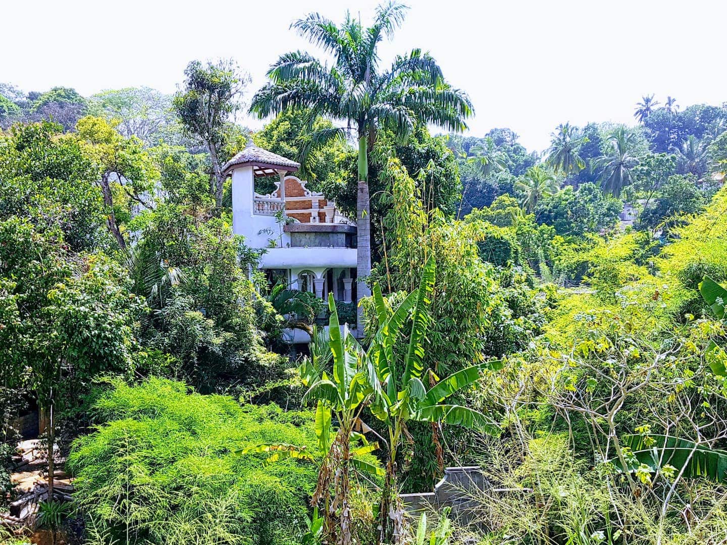 A white tower-ish structure under a large palm tree in the lush jungle of Sri Lanka Airbnbs.