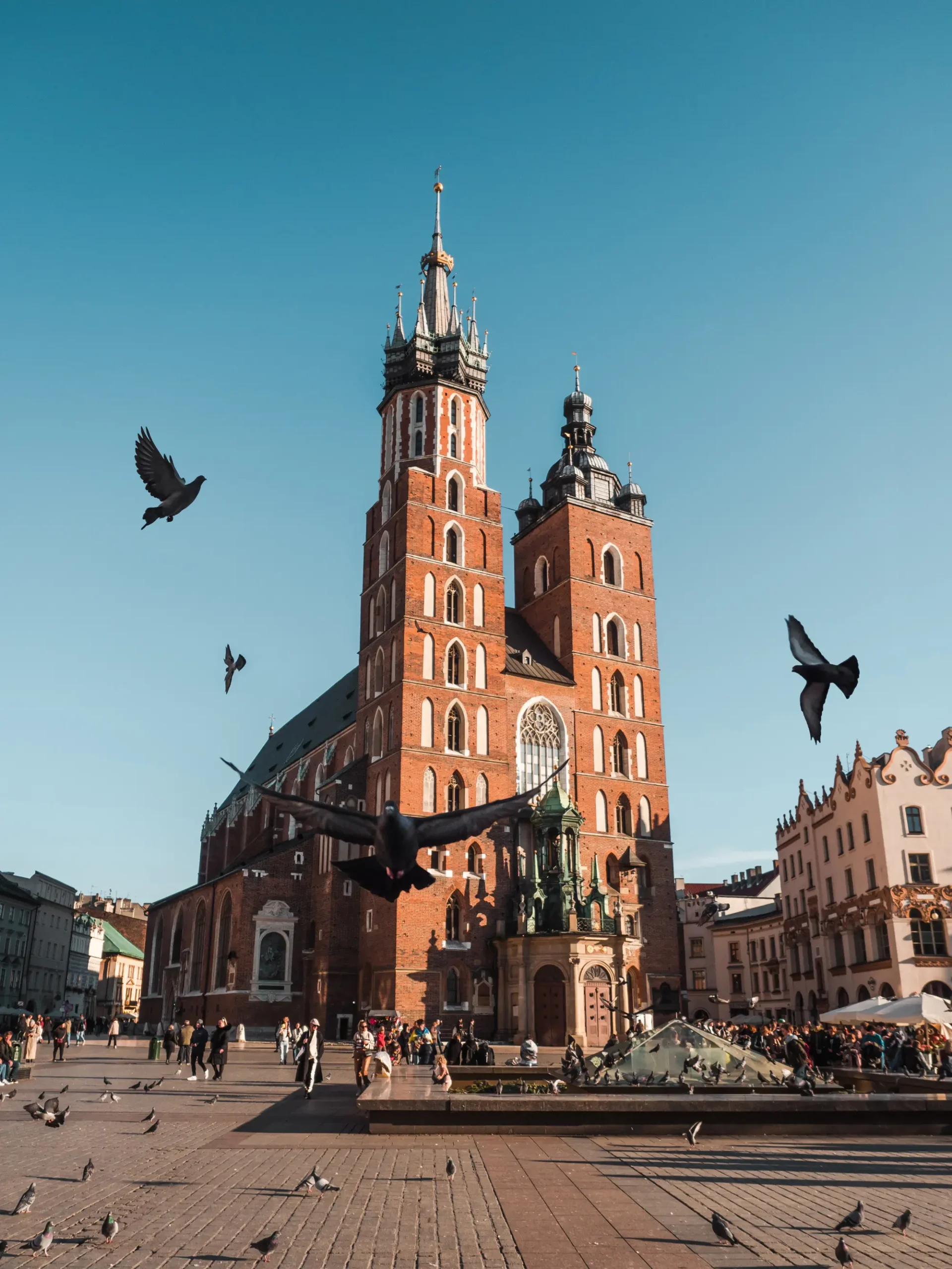 St. Mary's Basilica, a red brick church, with pigeons flying all around it in the Old Town, on a sunny day with blue skies, one of the best areas to stay during a weekend in Krakow.