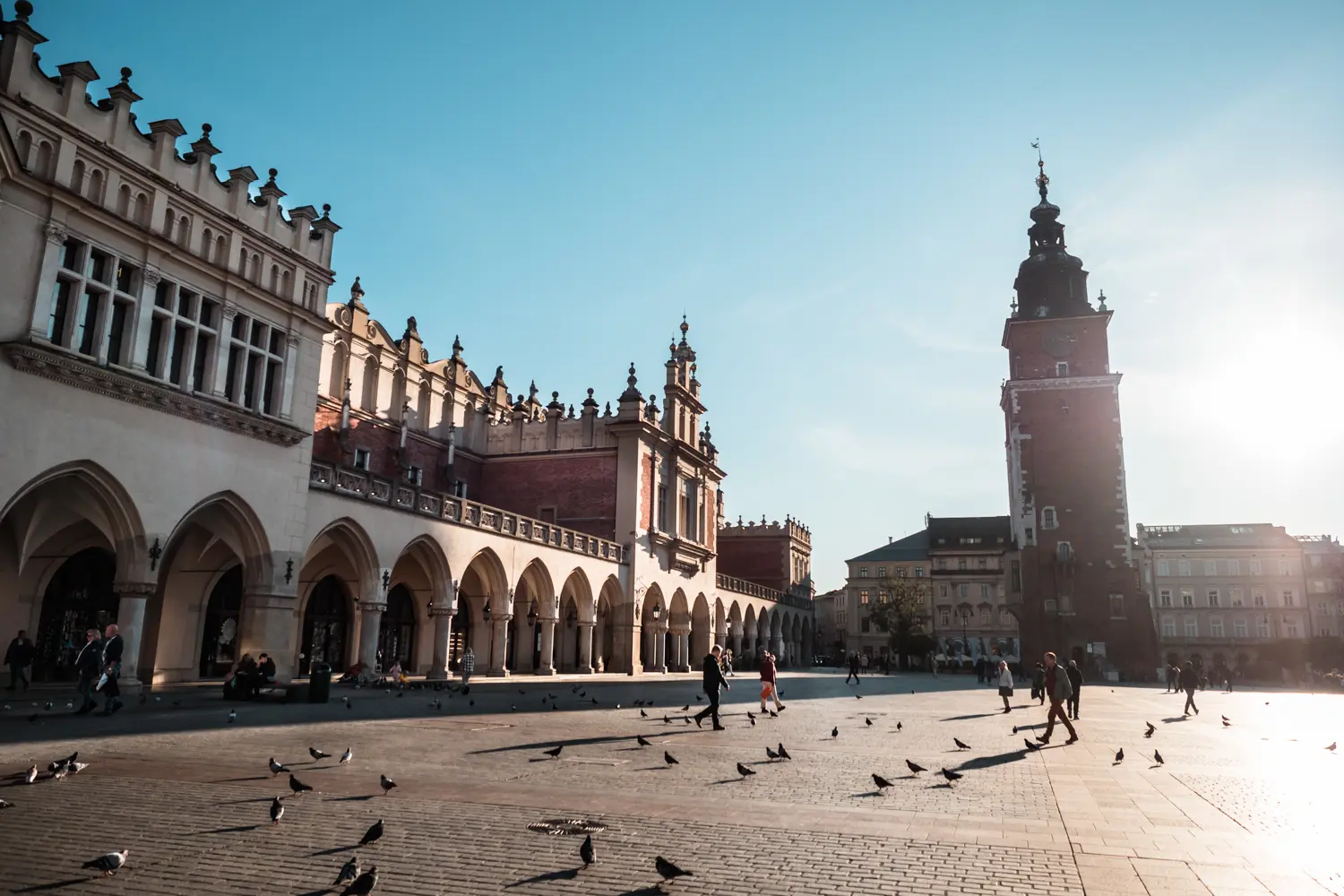 Low sun over the Cloth Hall and Town Hall Tower at Rynek Market Square with doves casting shadows during a weekend in Krakow.