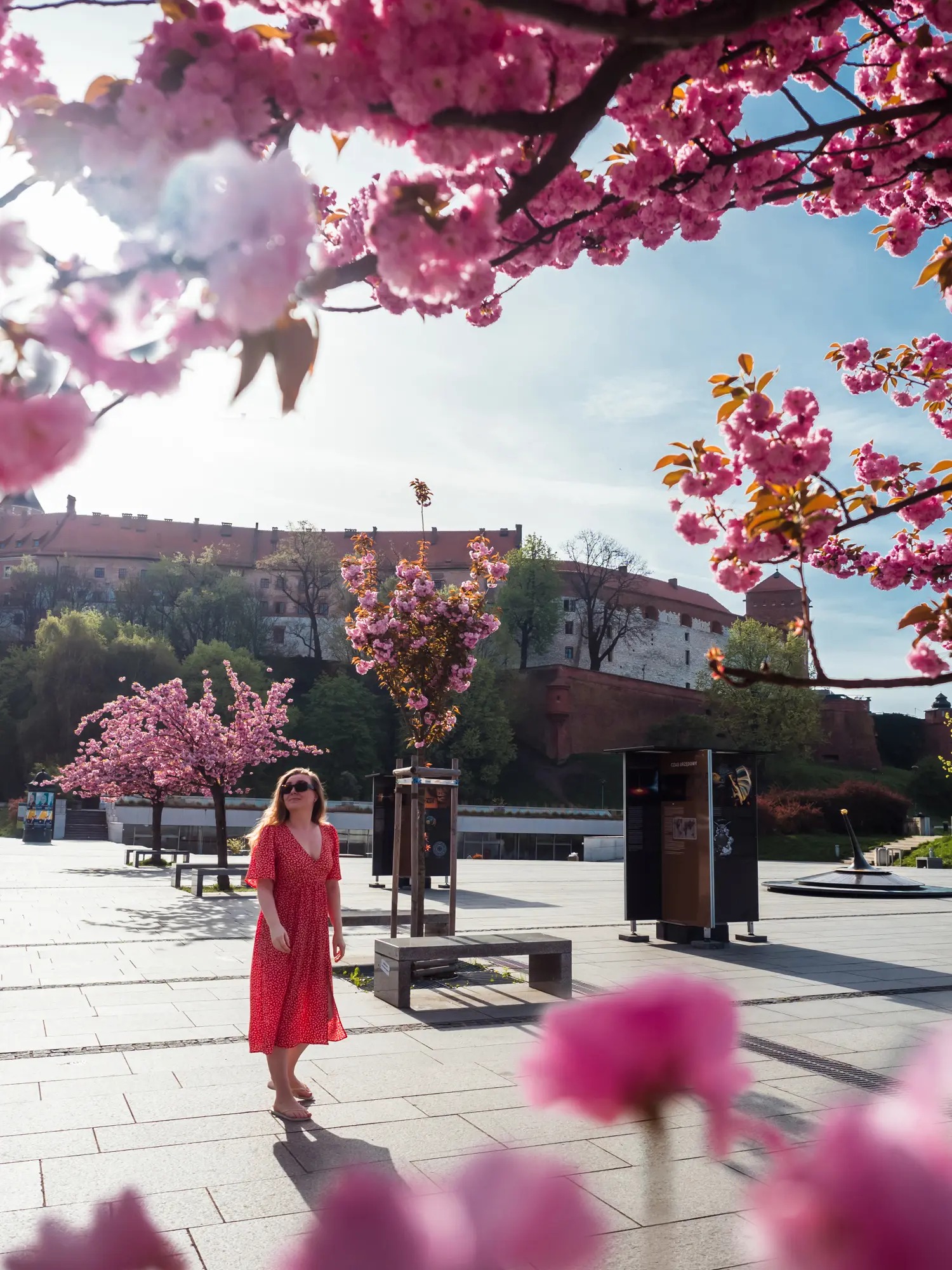 Woman wearing a long red dress in a square with Wawel Castle in the background surrounded by pink cherry blossoms during a 2-day weekend in Krakow.