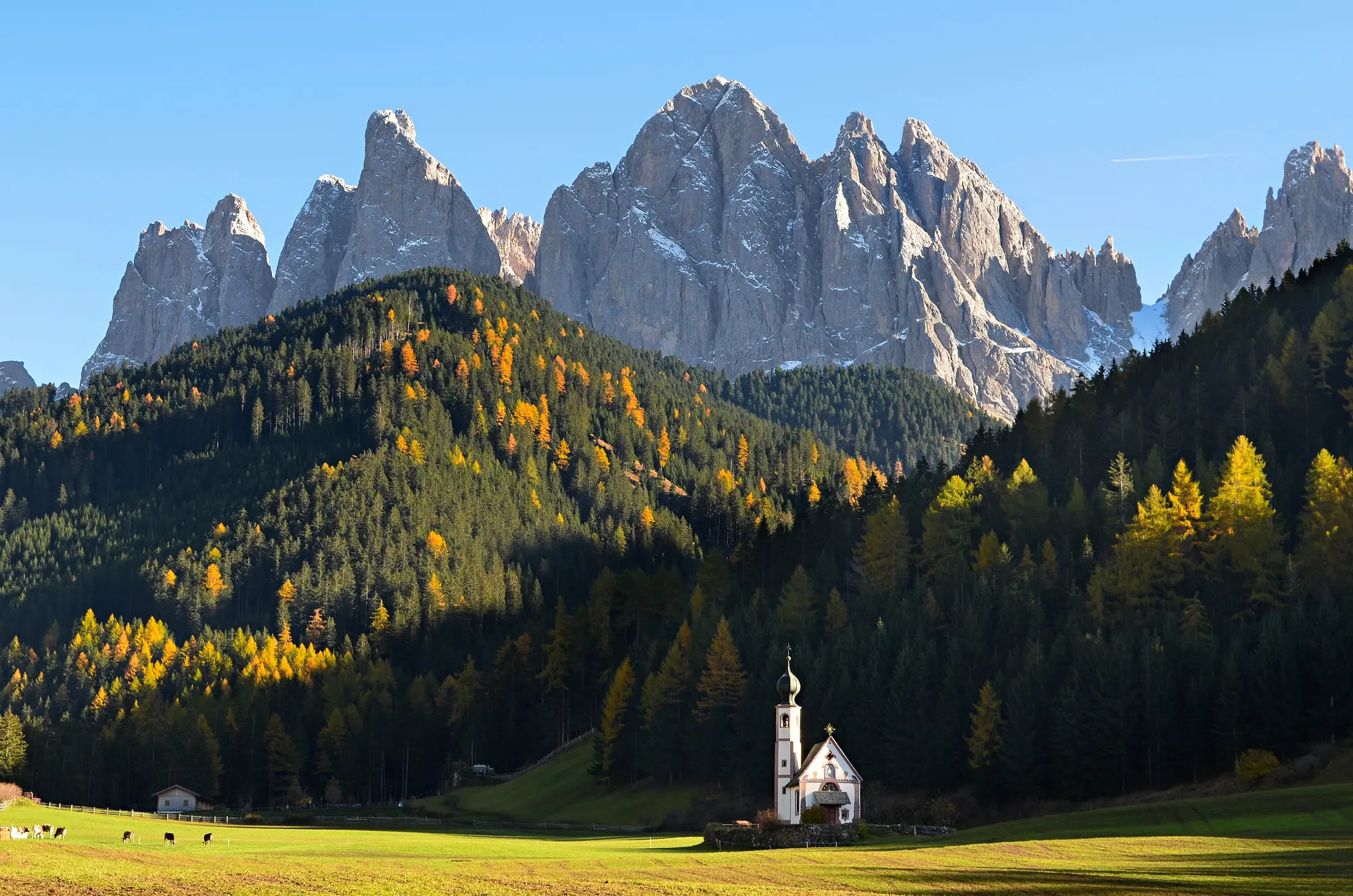 Little white church with green tree covered mountains and tall spiky mountains in the background in the Dolomites Italy, one of the best summer destinations in Europe.