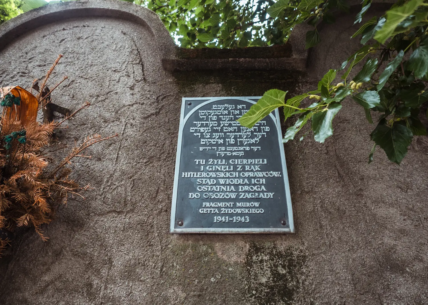 Black plaque with silver text on a old grey wall surrounded by green leaves, the Old Ghetto Wall a hidden Gem in Krakow.