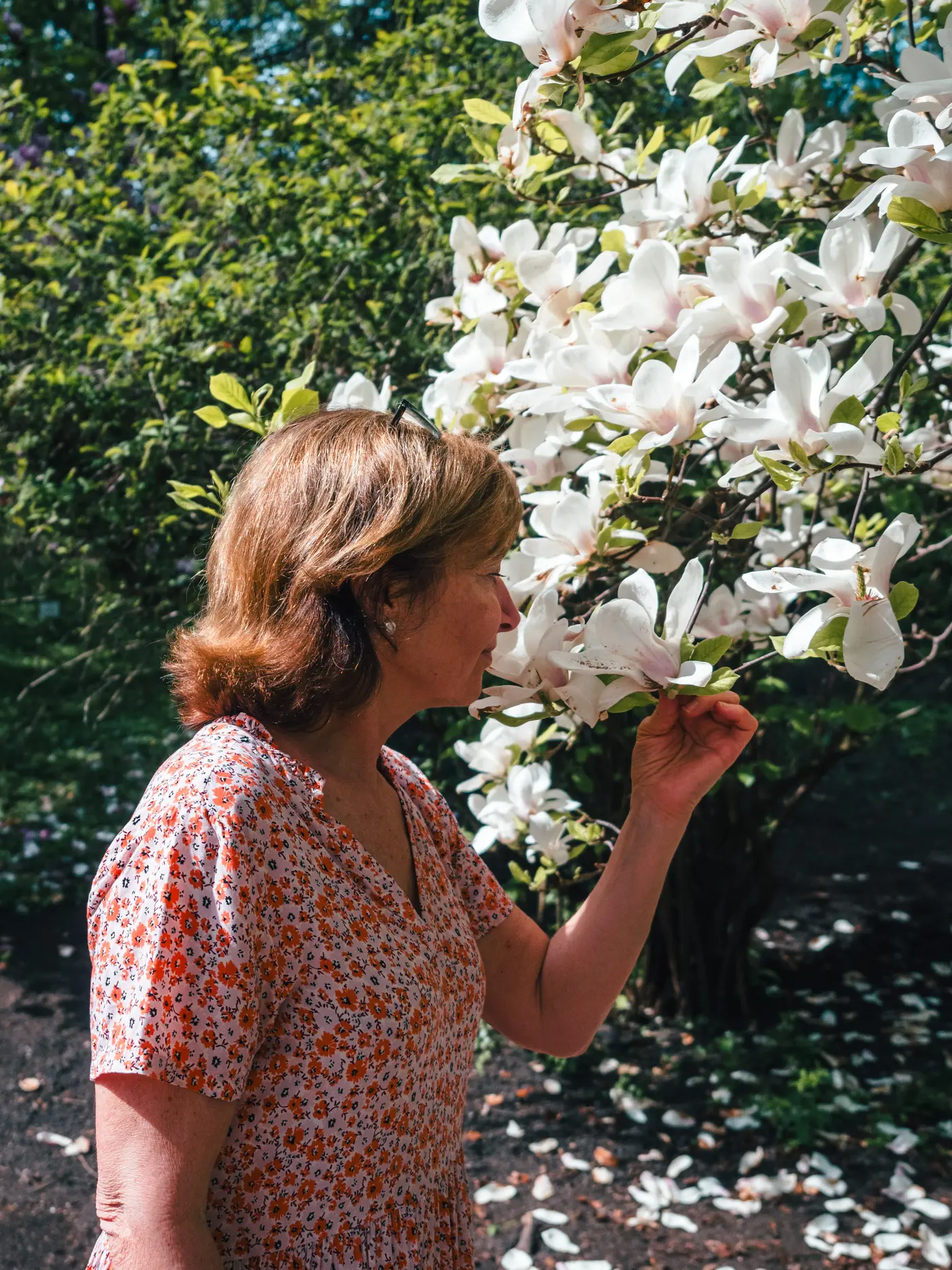 Close up of woman with brown hair, wearing s pink dress, holding a branch of a white Magnolia tree smelling the flowers in Krakow Botanical Garden, a hidden gem.