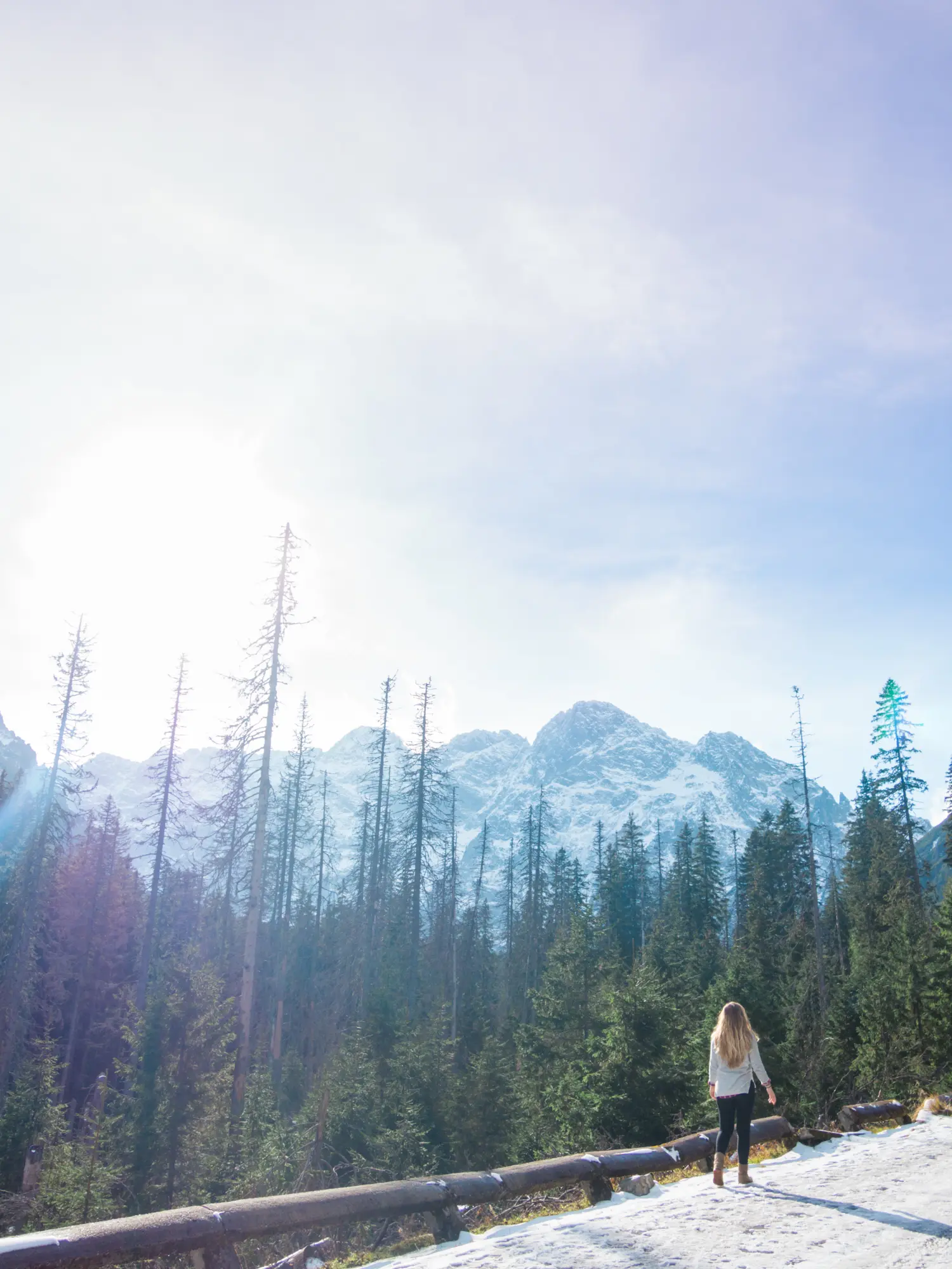 Woman with long hair wearing a grey sweater and black pants, walking along a line of green trees with mountains in the background and low sun on the way to Morskie Oko Lake in the Tatra Mountains Poland.