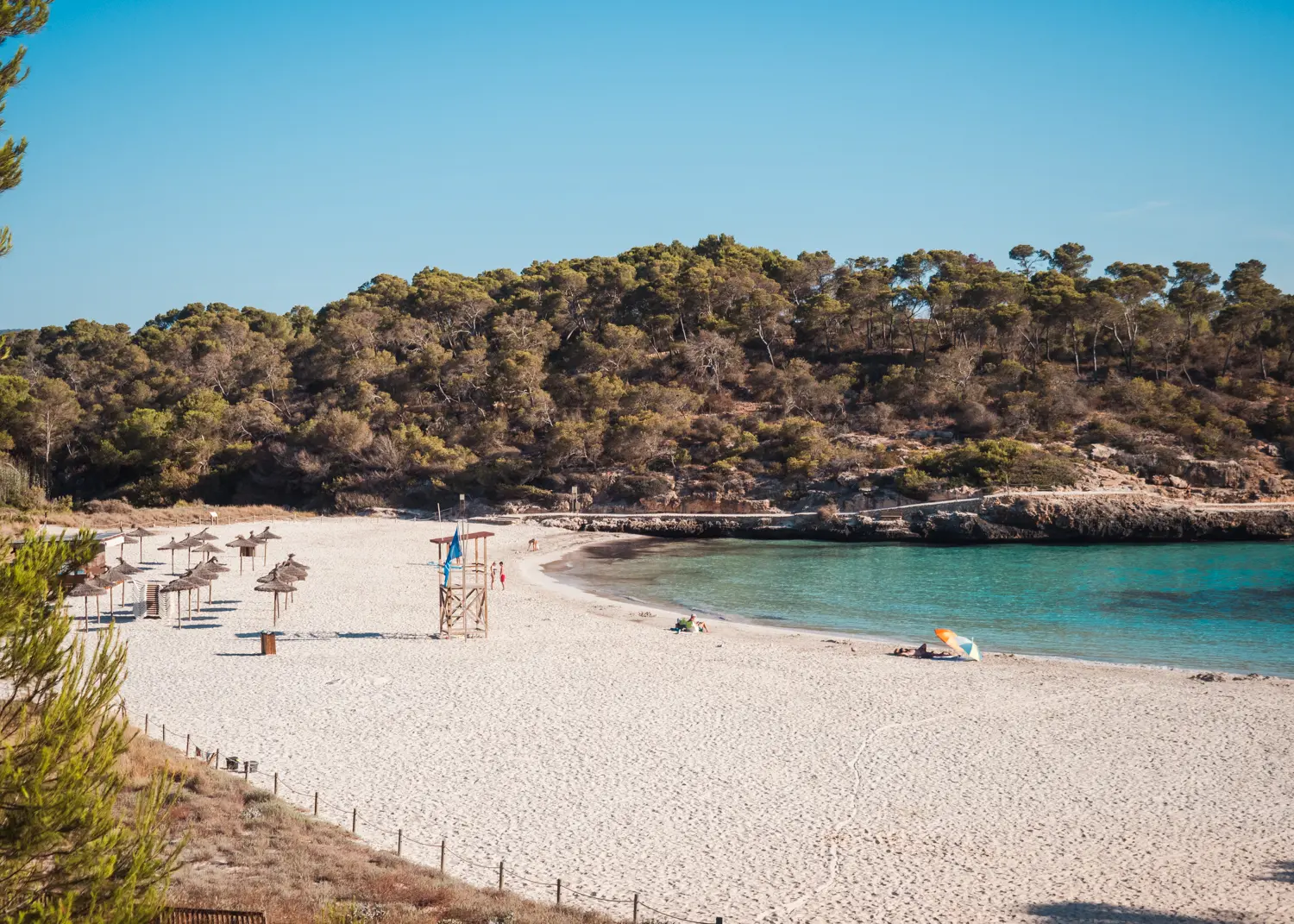 Visiting the stunning white half-moon shaped beach of Cala S'Amarador surrounded by green pine forest from Cala Figuera.