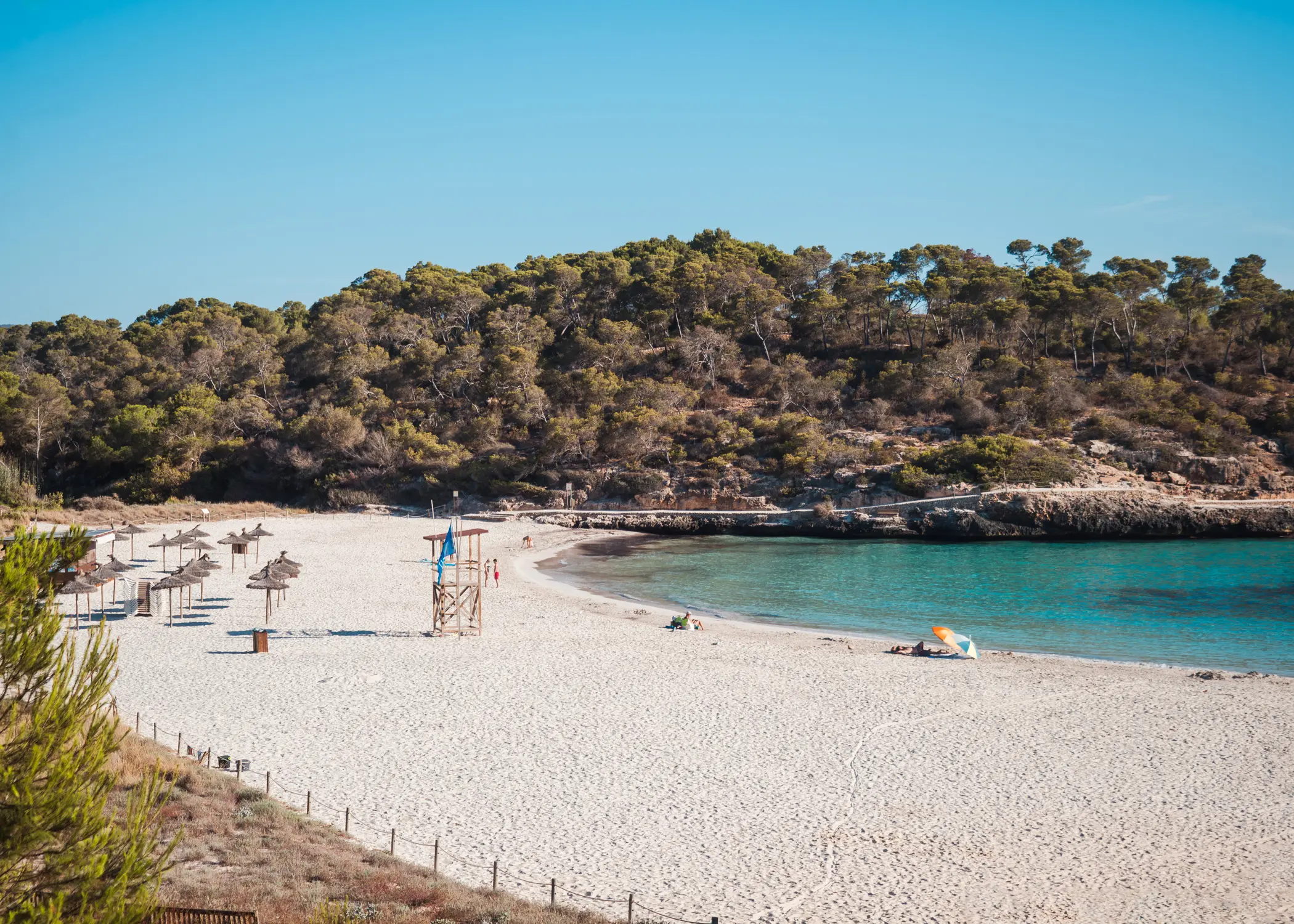 View of empty Cala S'Amarador, a white-sand half-moon cove surrounded by green forest and turquoise ocean, one of the best beaches in Mallorca.