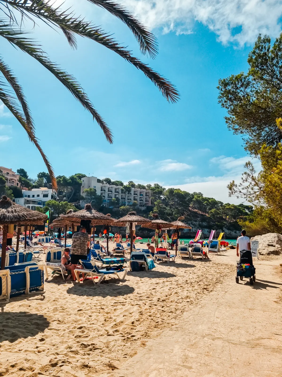 Man pushing a black pram walking on a path along Santanyi Beach with rows on straw parasols and sunbeds with hotels in the background.
