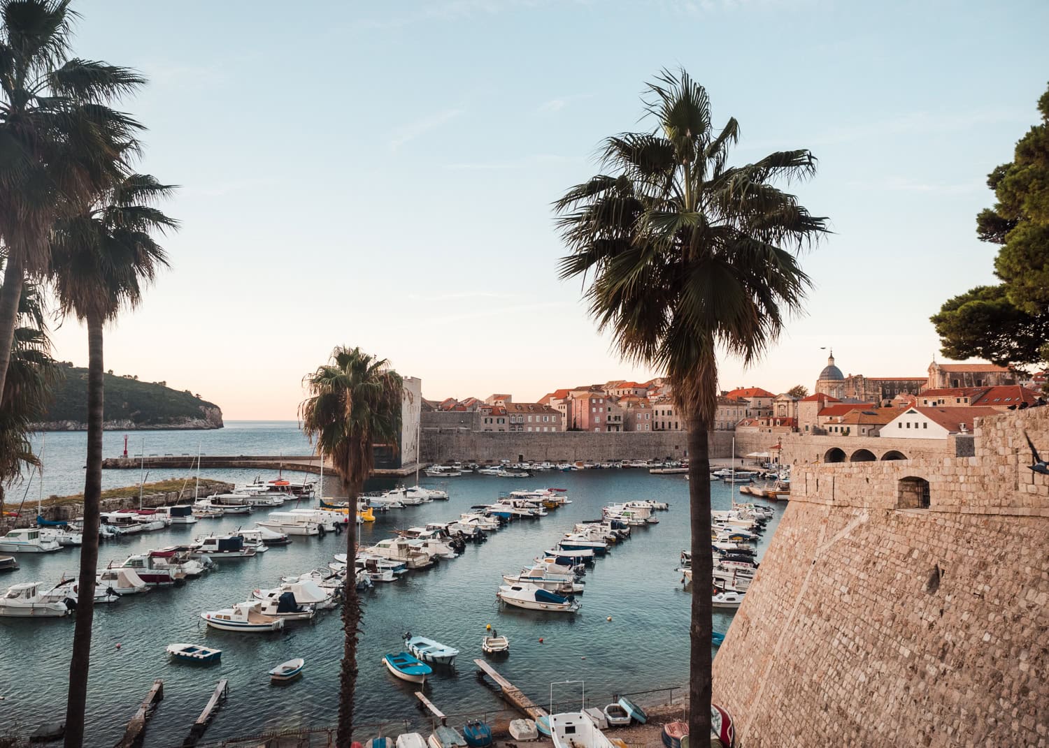 3 skinny palm trees in Dubrovnik Old Town Harbor with rows of boats early in the morning - Dubrovnik Pass review.