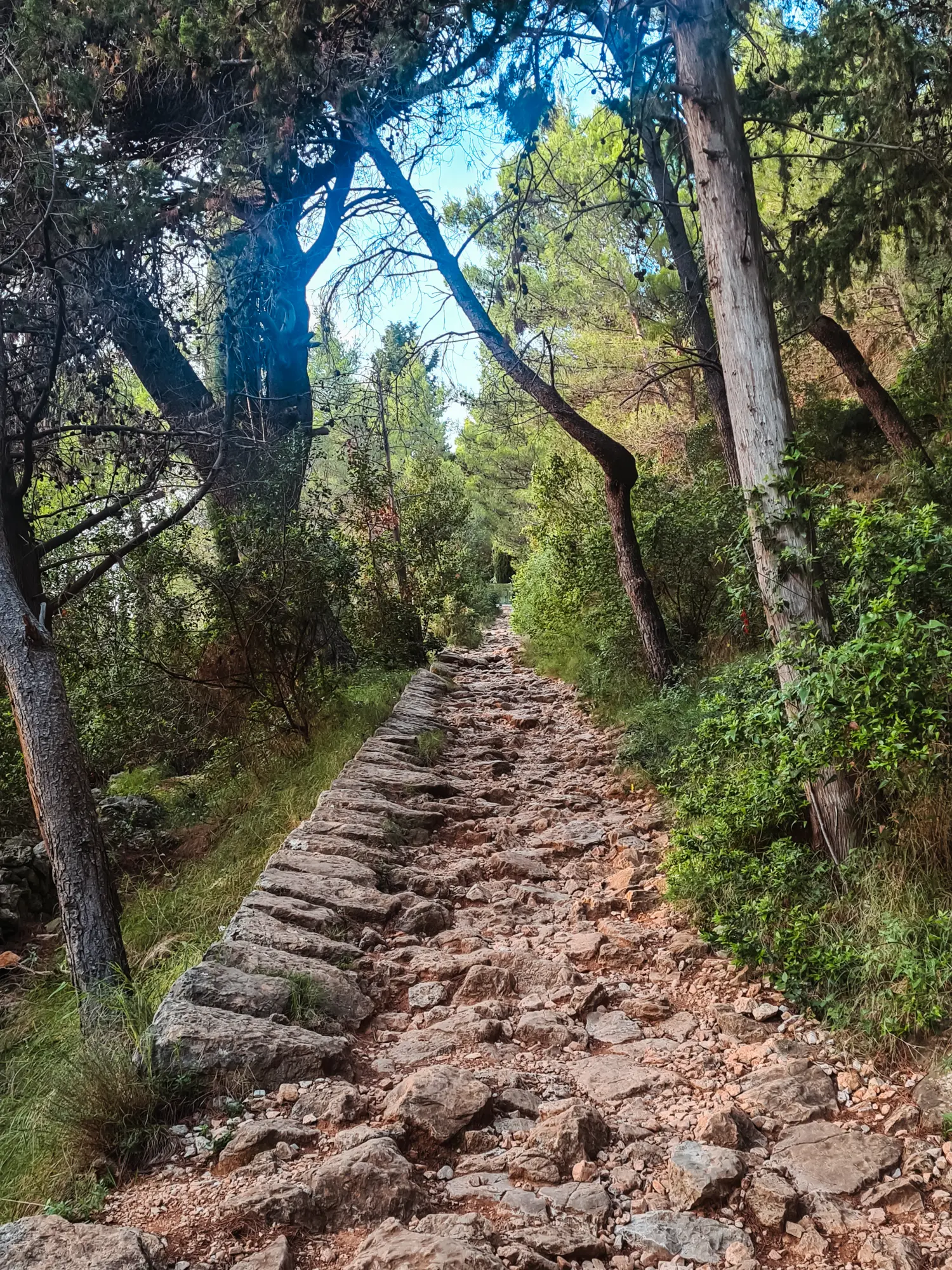 Steep stone path through the woods, blue sky in the distance, hiking path to Mount Srd Dubrovnik.