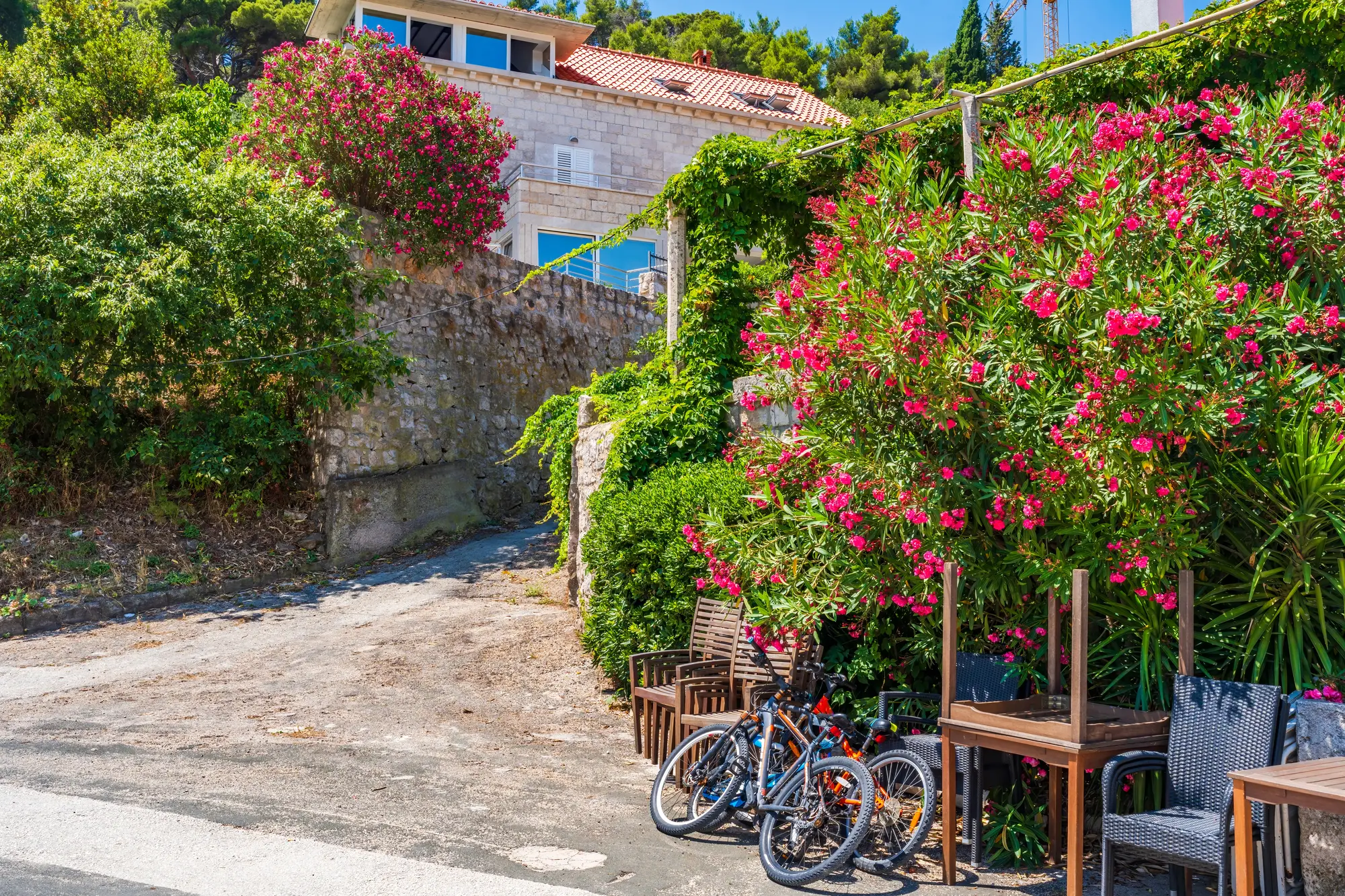 Two bikes, chairs and tables leaning towards a stone wall covered in greenery and pink flowers in front of a beige stone house on Sipan Island in the Koločep, Elaphiti Islands, Dubrovnik.