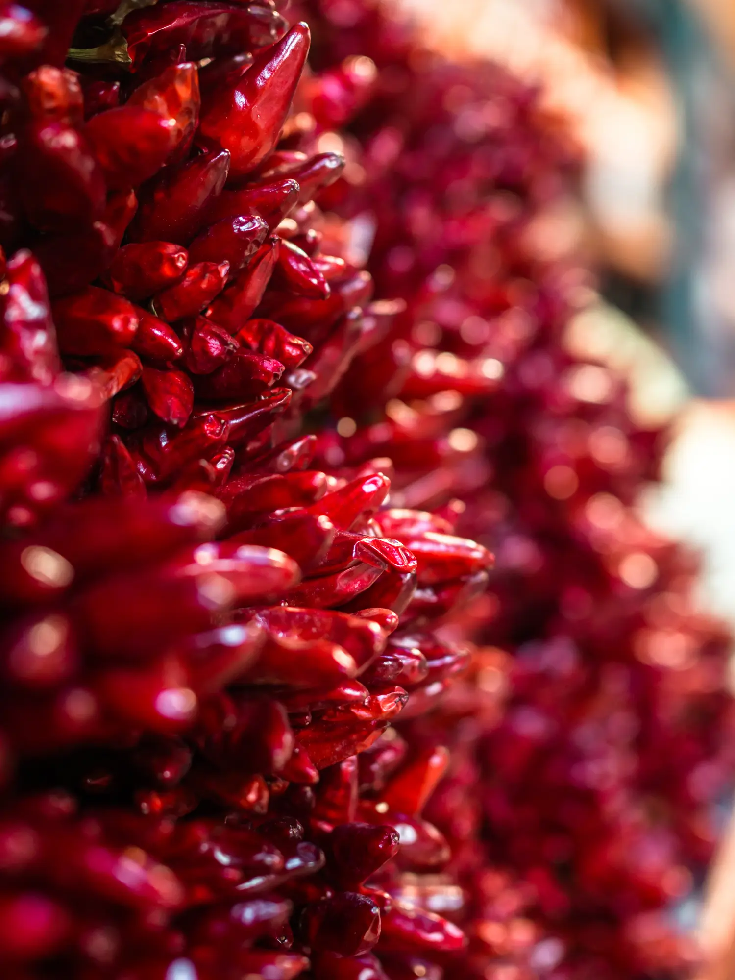 Close up of a bunch of dried red chilis at the Central Market Hall in Budapest.