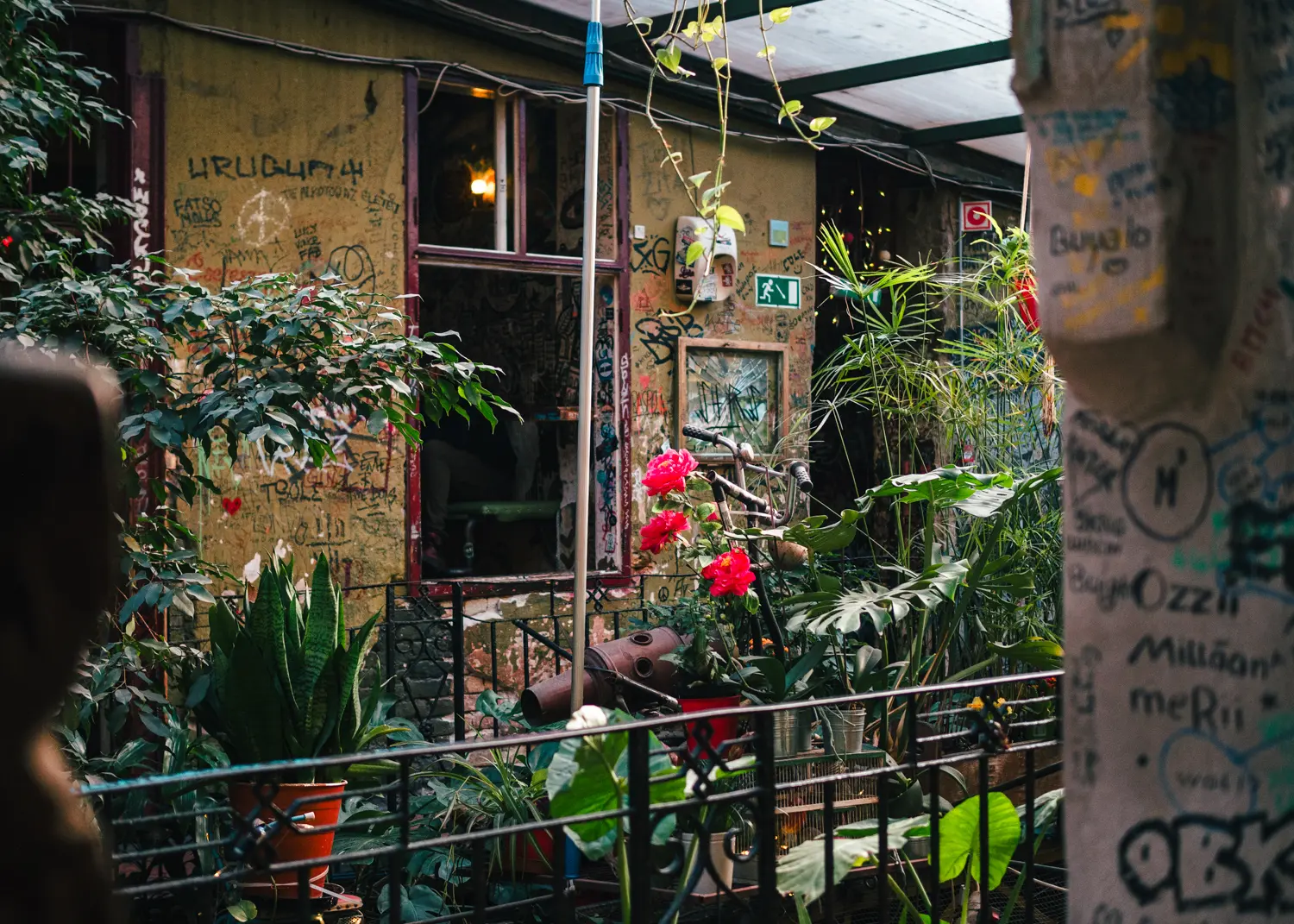Looking into the courtyard on the upper floor of Szimpla Kert ruin bar in Budapest, with lots of green plants, stone walls with writing and graffiti and light coming through the skylight.