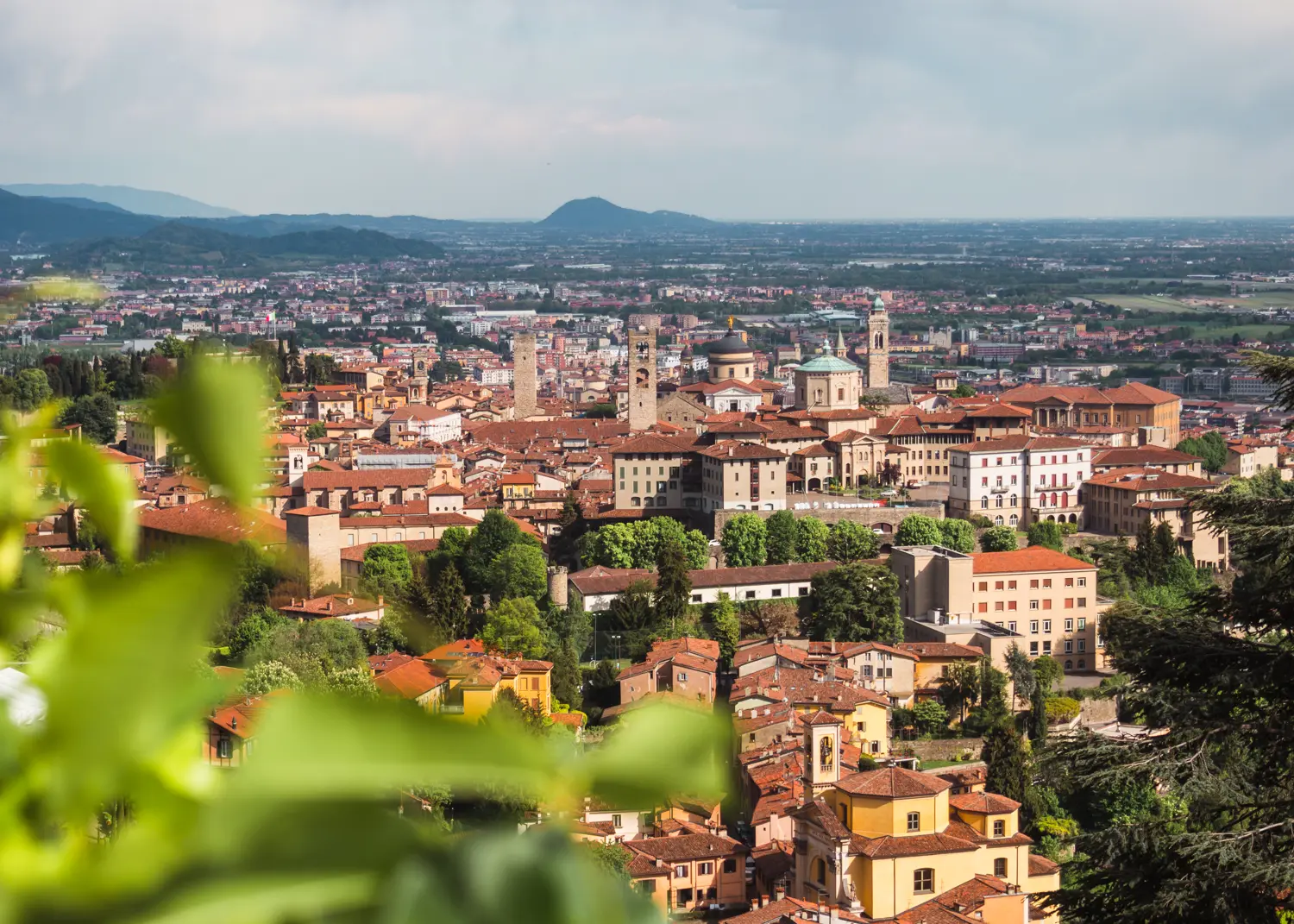 View of the orange rooftops and towers of Bergamo Cotta Alta from San Vigilio Hill, with a green leaves in the foreground.