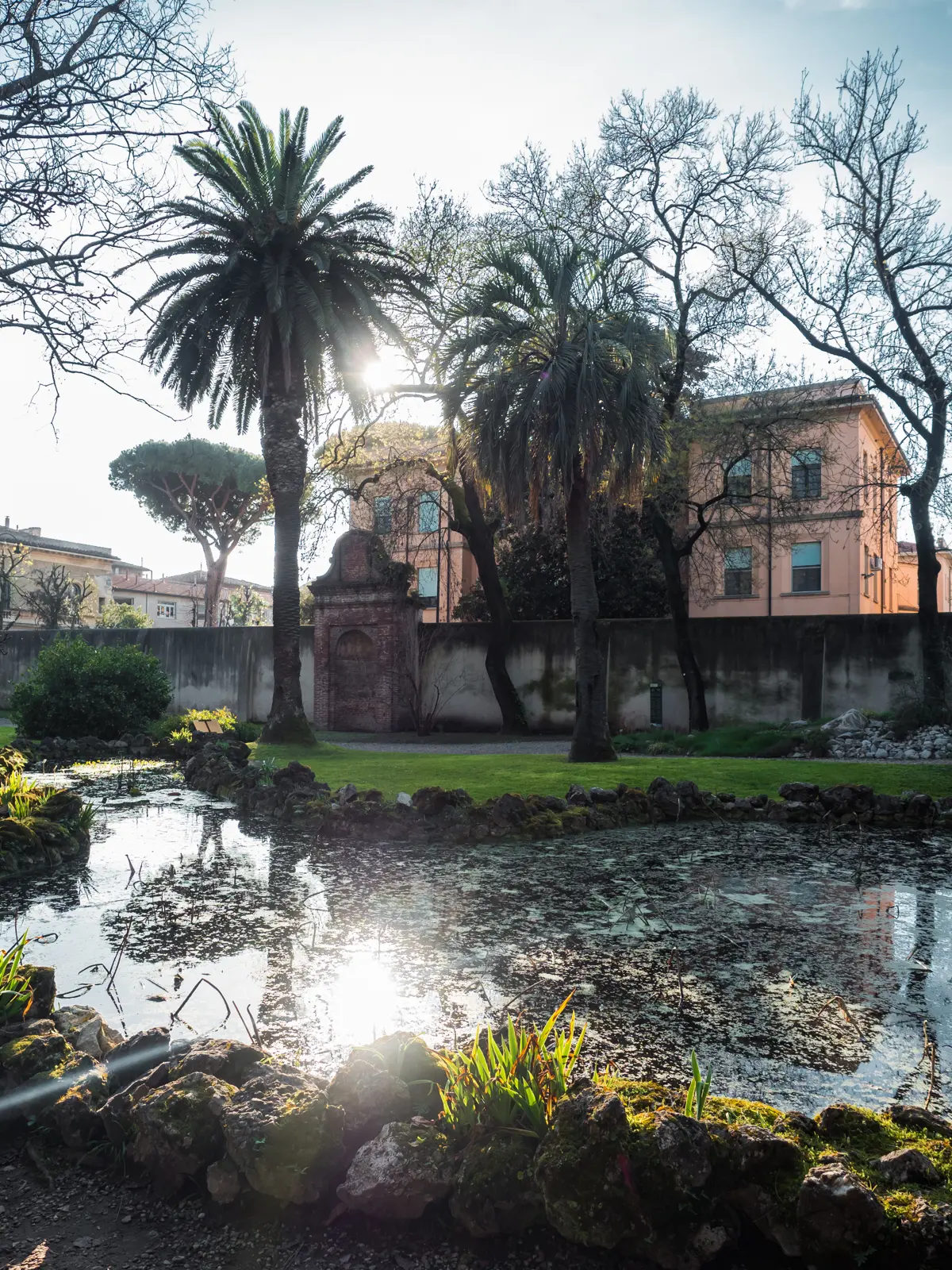 Sun shining into a pond in the Botanical Garden of Pisa, through palm trees with a light orange mansion in the background.