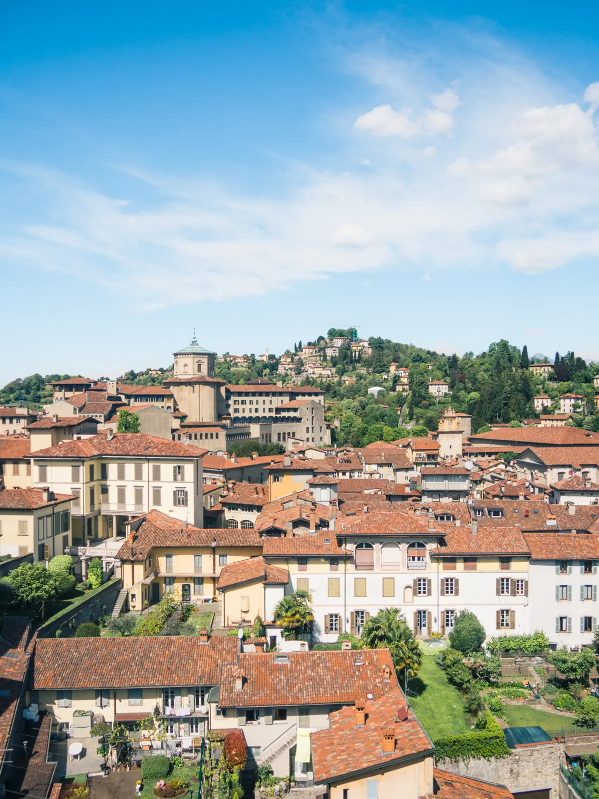 White, light yellow and beige old buildings surrounded by green threes, and San Vigilio on a hill in the background, seen from Bergamo.