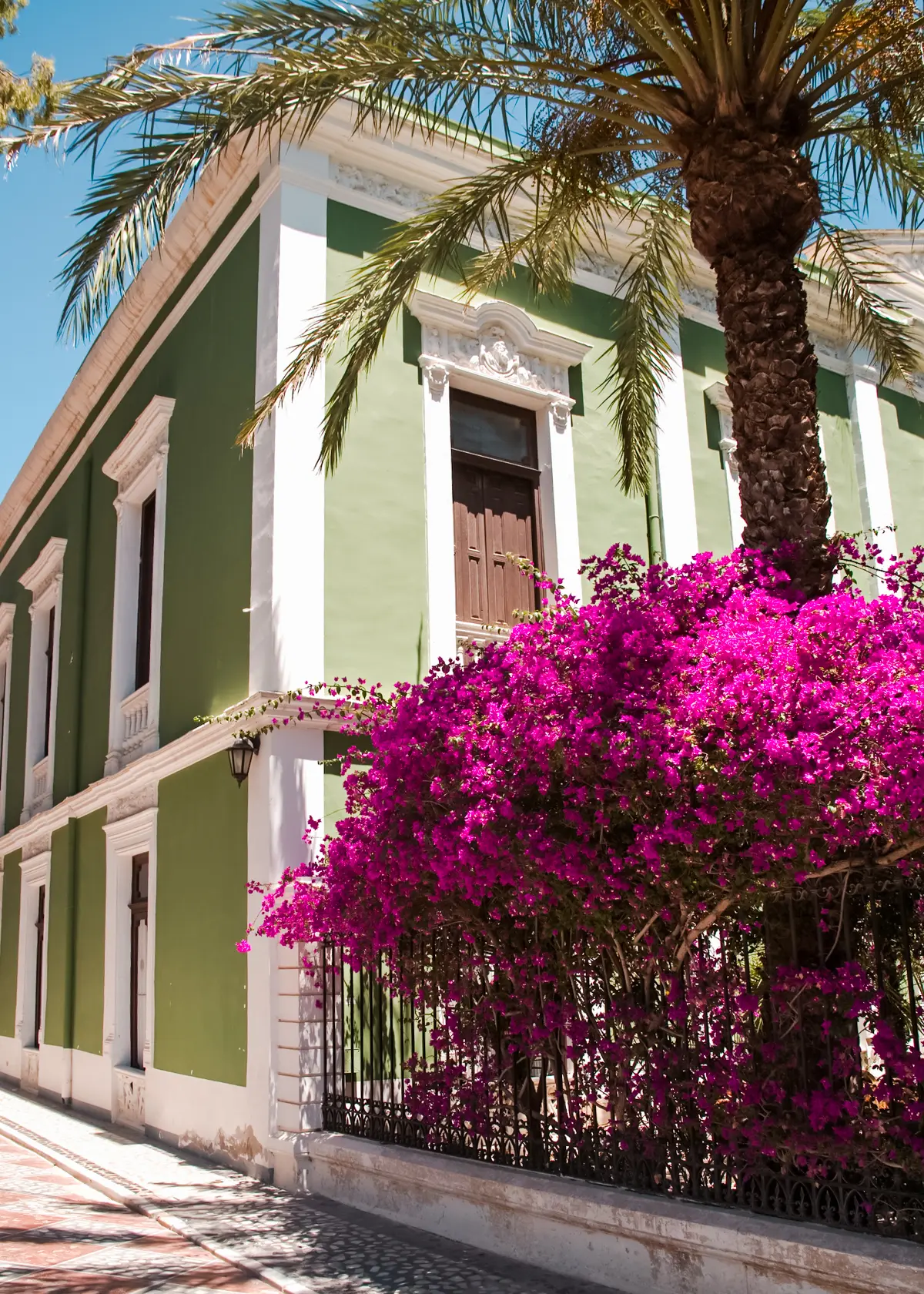 Green grand Spanish building with white trims, a palm tree and large purple Bougainvillea in front, in Archena, Ricote Valley.