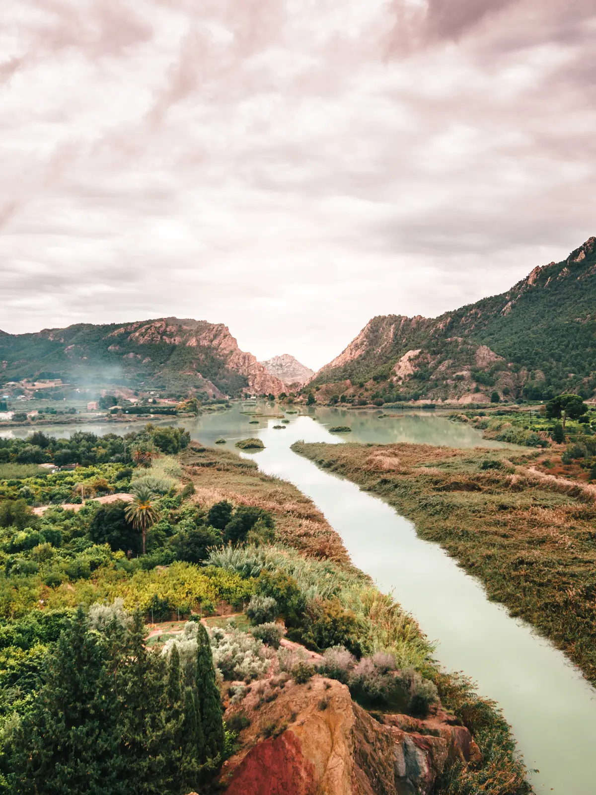 Early morning with a light pink cloudy sky overlooking a green river, surrounded by cacti and greenery, running towards two mountains in Cieza, Ricote Valley.