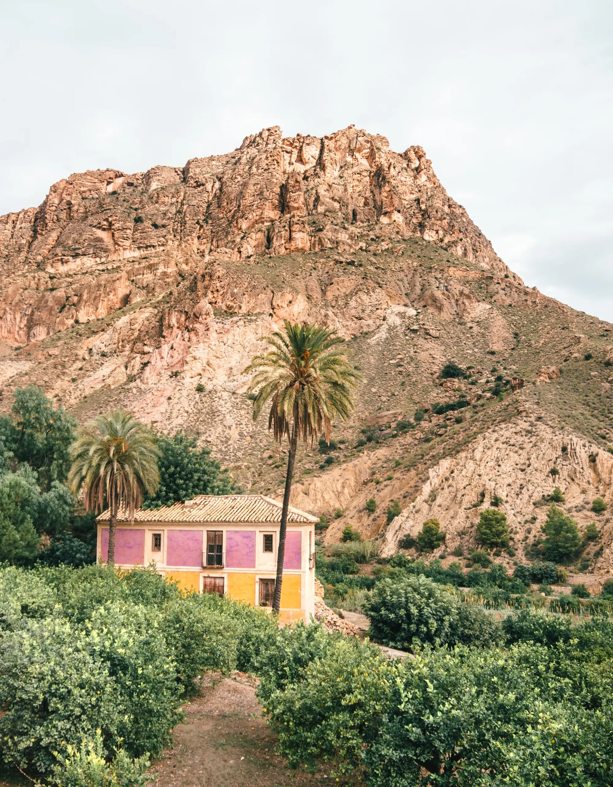 Old yellow and purple farm house with two palm trees and a mountain in the background, Ojós Ricote Valley.