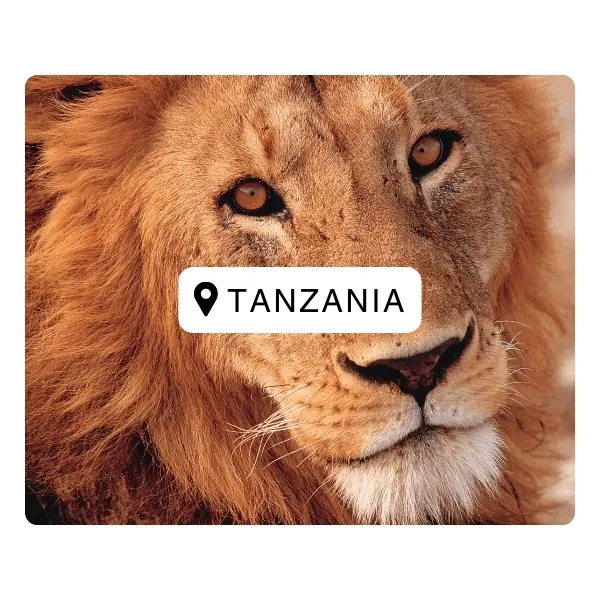 Sunshine Seeker Travel Blog Destinations Tanzania