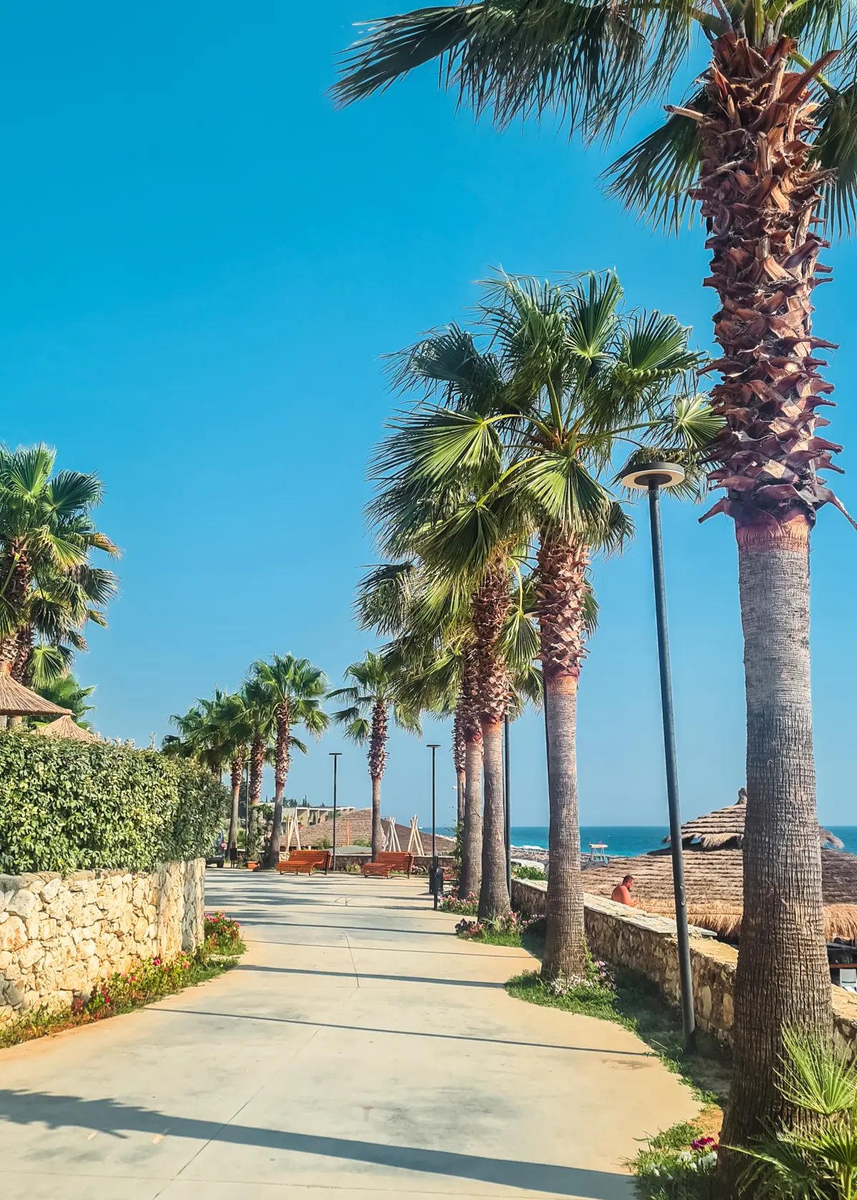Promenade along Drymades Beach lined by palm trees on the right and restaurants on the left.