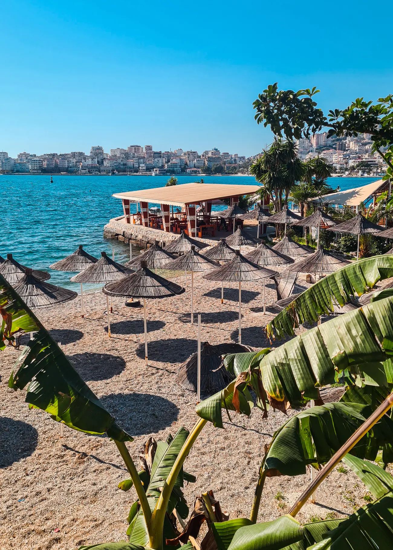 Looking through green palm tree leaves on a small beach with rows of straw umbrellas next to a restaurant, with high-rise building across the blue ocean on a sunny day in Saranda Albania.