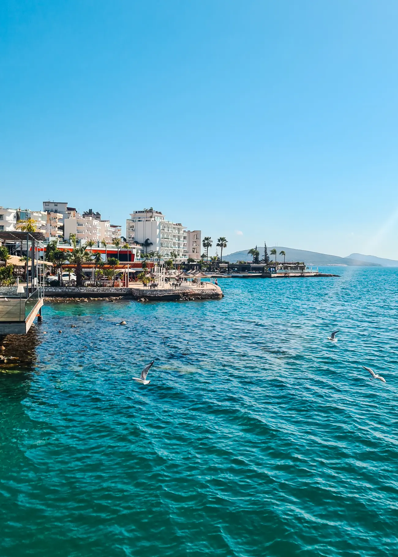 View of birds flying over the turquoise ocean with waterfront restaurants and high-rise apartment building on the left on a sunny day in Saranda Albania.