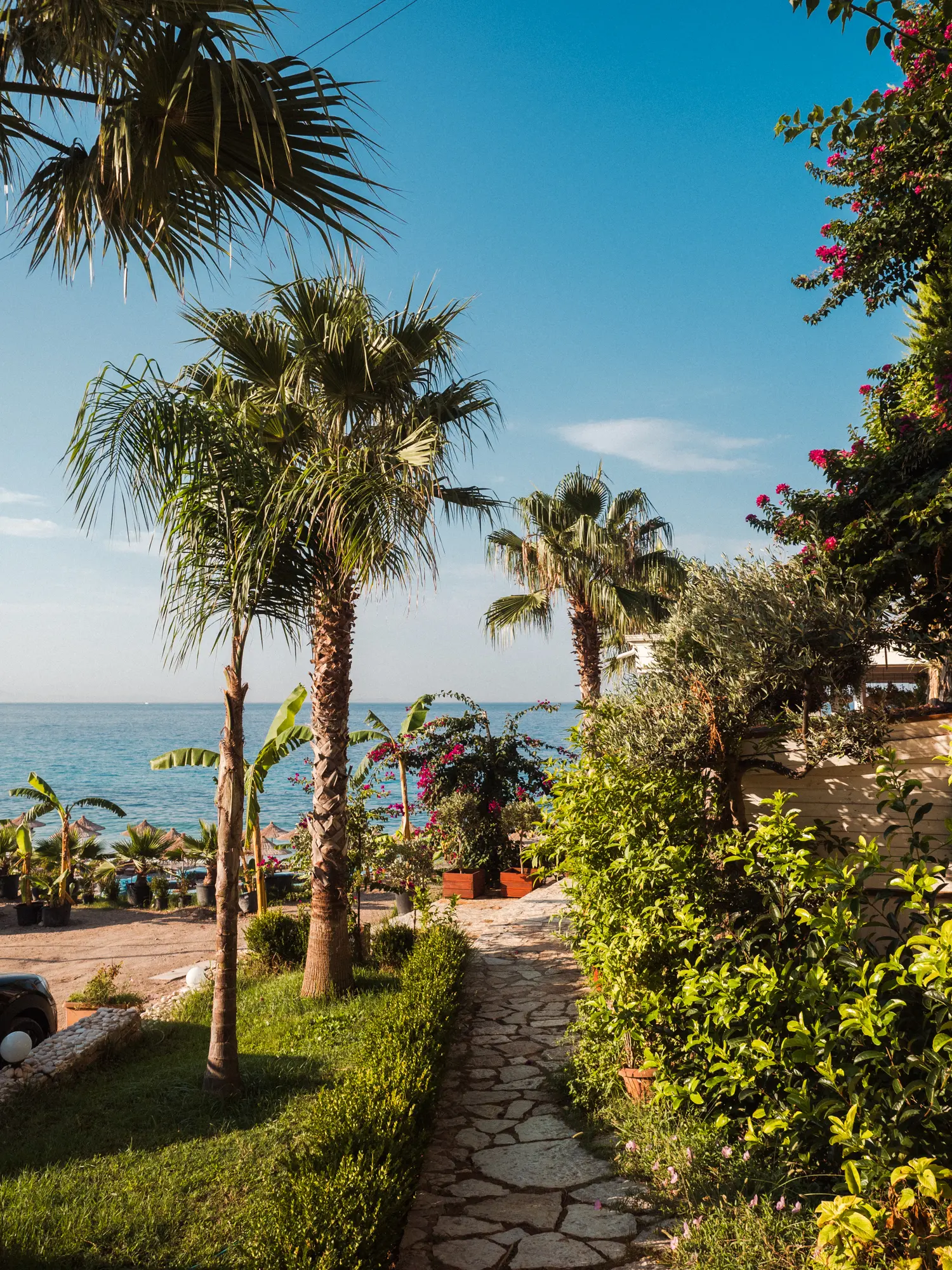 Paved path to the ocean through greenery with palm trees on the left at Summer Dream Hotel at Drymades Beach in Albania.