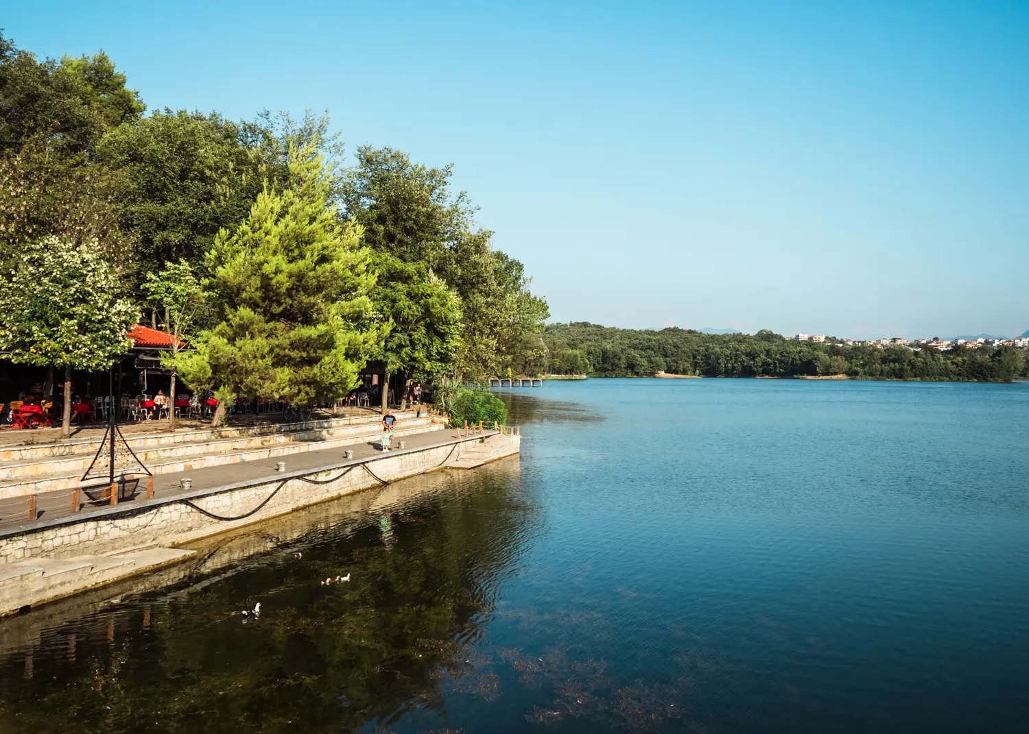 Wooden pier surrounded by greenery by the artificial lake in Tirana, next to Mullixhiu Restaurant.