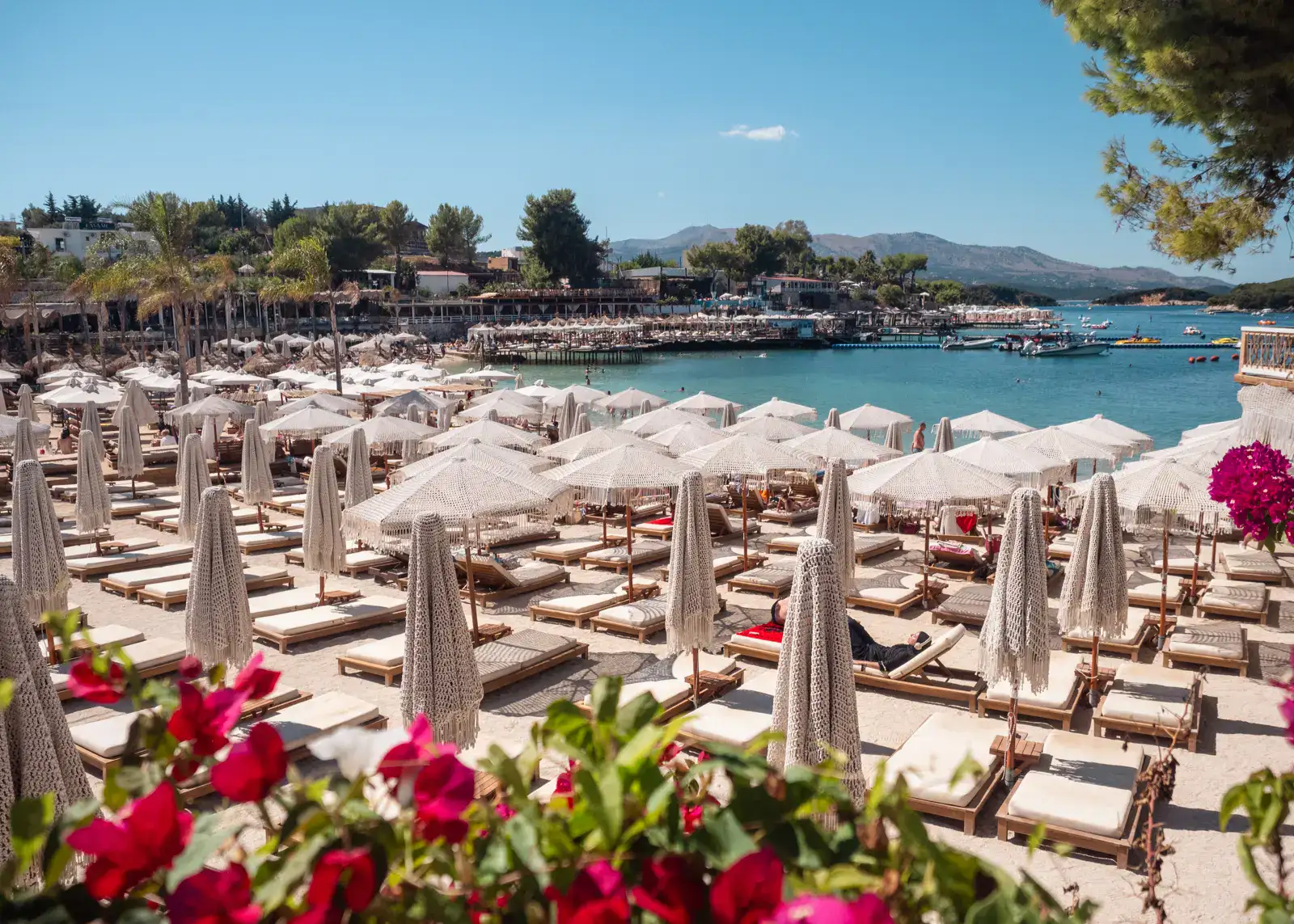 Wooden sunbeds with white mattresses, crochet parasols, some closed, pink flowers and green leaves in the foreground, turquoise ocean and blue skies in the background at Greg Beach Club on Poda Beach in Ksamil.