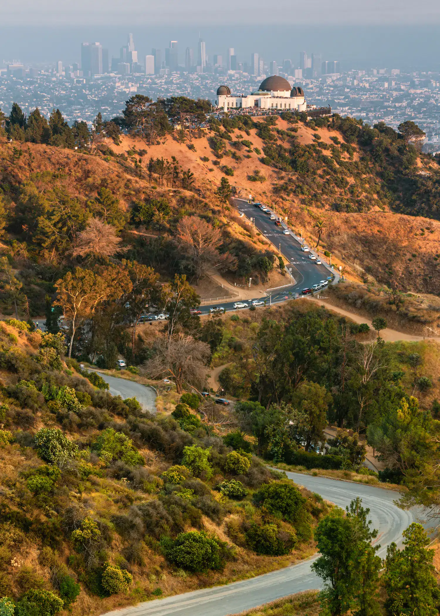 Windy road between green and brown hills leading to the white Griffith Observatory on top of a hill, with Los Angeles city in the background.