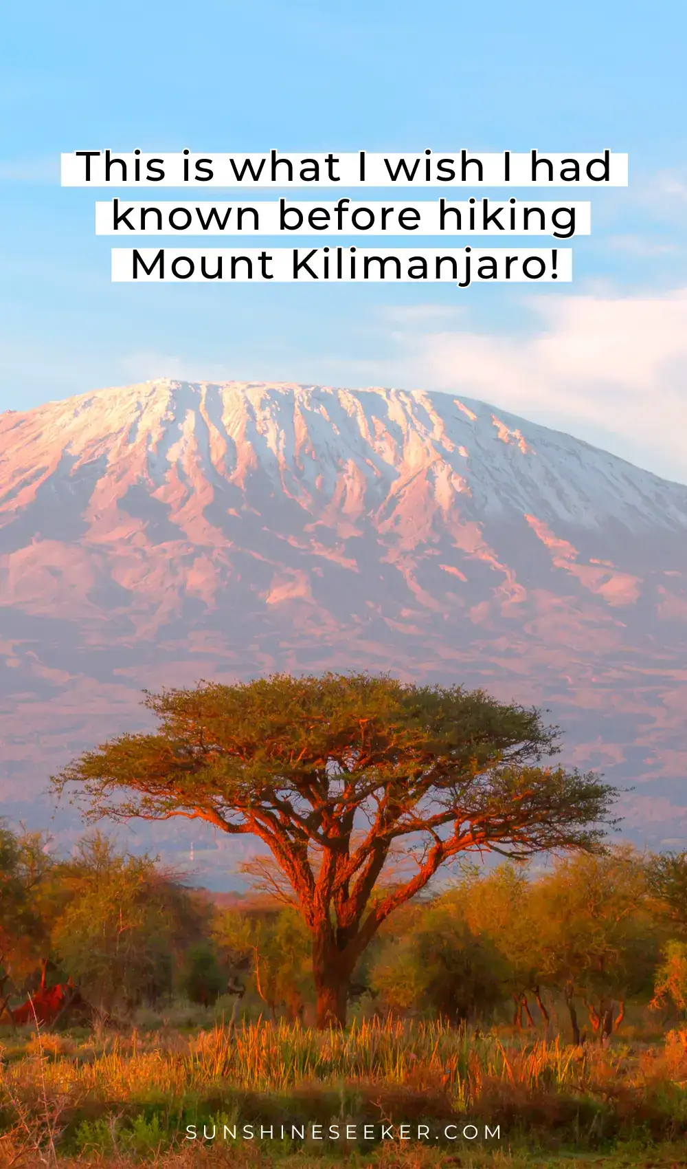 Are you dreaming of hiking Mount Kilimanjaro? This day-by-day Kilimanjaro trekking guide covers what it&rsquo;s really like to climb Africa&rsquo;s tallest mountain. Learn what to pack, altitude sickness tips, and how hard it really is. Whether you're planning your Kilimanjaro climb or just curious about summit day, this guide covers everything you need to know. Start preparing for your Kilimanjaro adventure today!