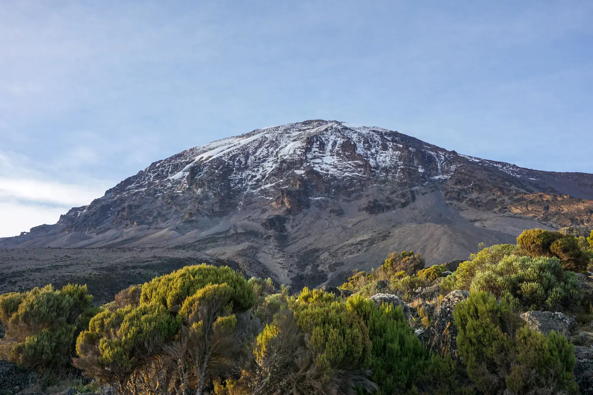 View of Mount Kilimanjaro with a little snow on the peak and green bush in the foreground, Kilimanjaro hiking guide.