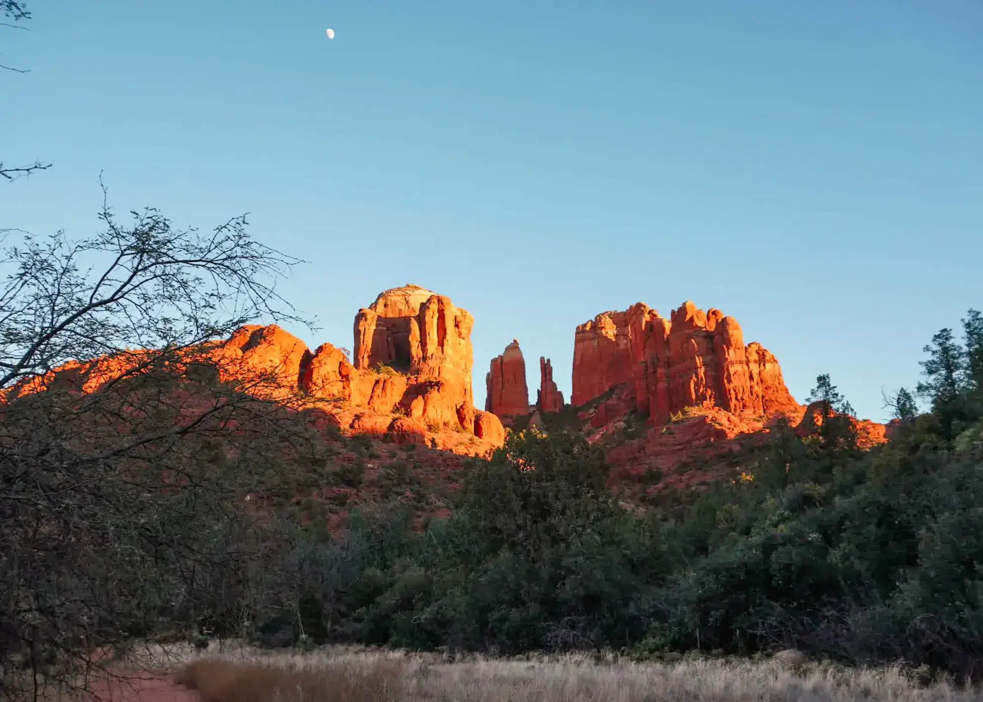 Cathedral Rock in Sedona, Arizona, glowing with warm orange hues at sunset, framed by trees and clear blue sky with the moon visible—captured during a scenic day trip from Phoenix.