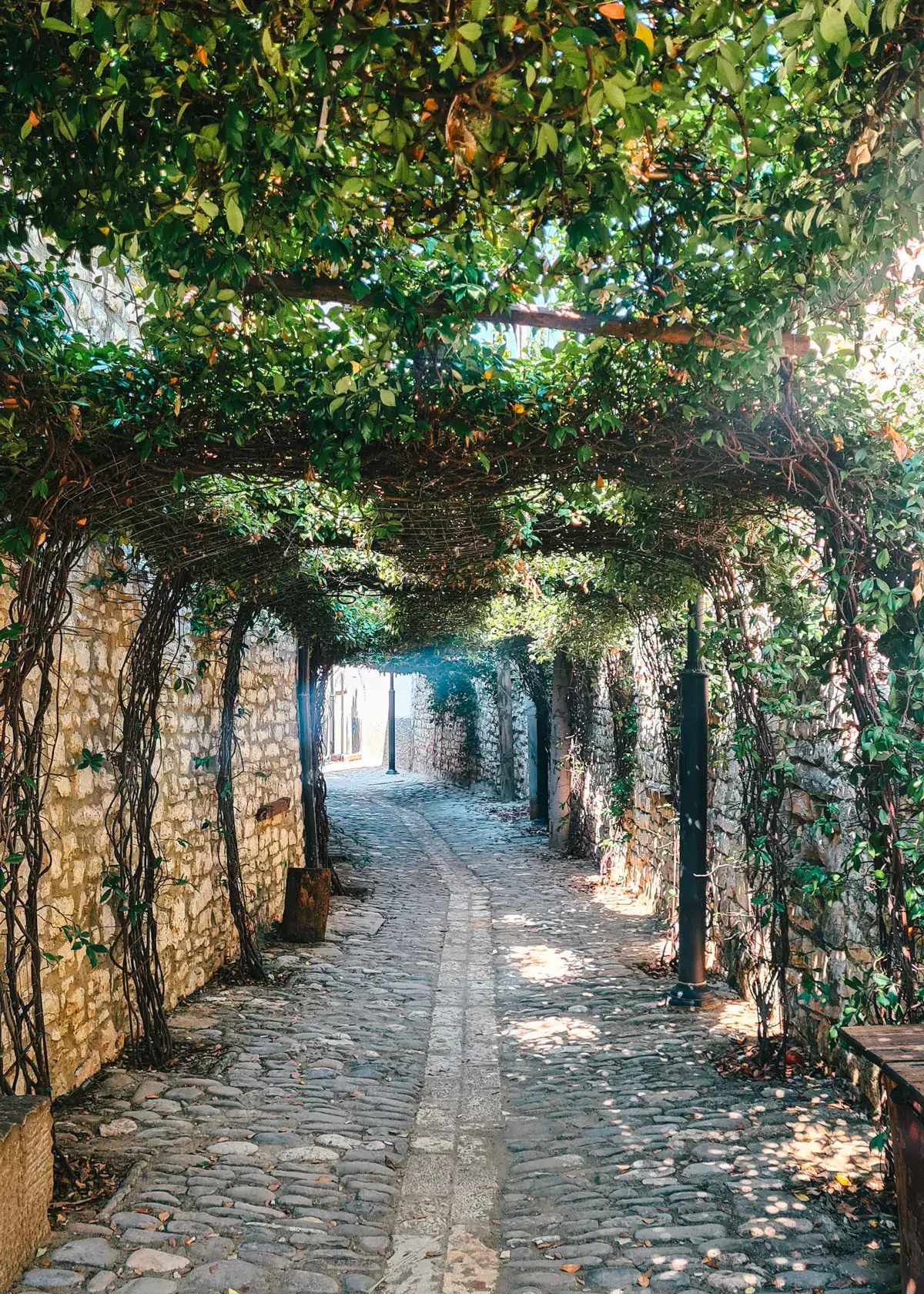 Cobbled, narrow street, covered in a greenery arch, stone wall of Hotel Borklad on the the left, one of the best hotels in Berat.