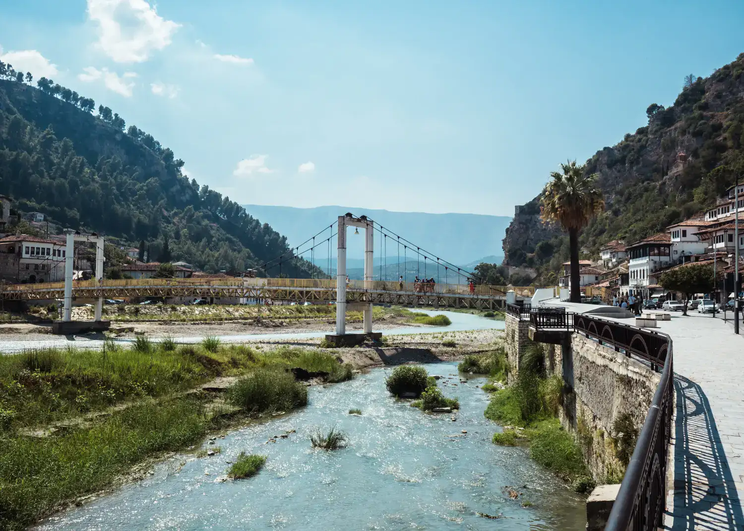 Looking out over a shallow river with stones and green grass, seen from a walkway with a black metal fence, palm tree and white suspension bridge in the background on a sunny day in Berat Albania.