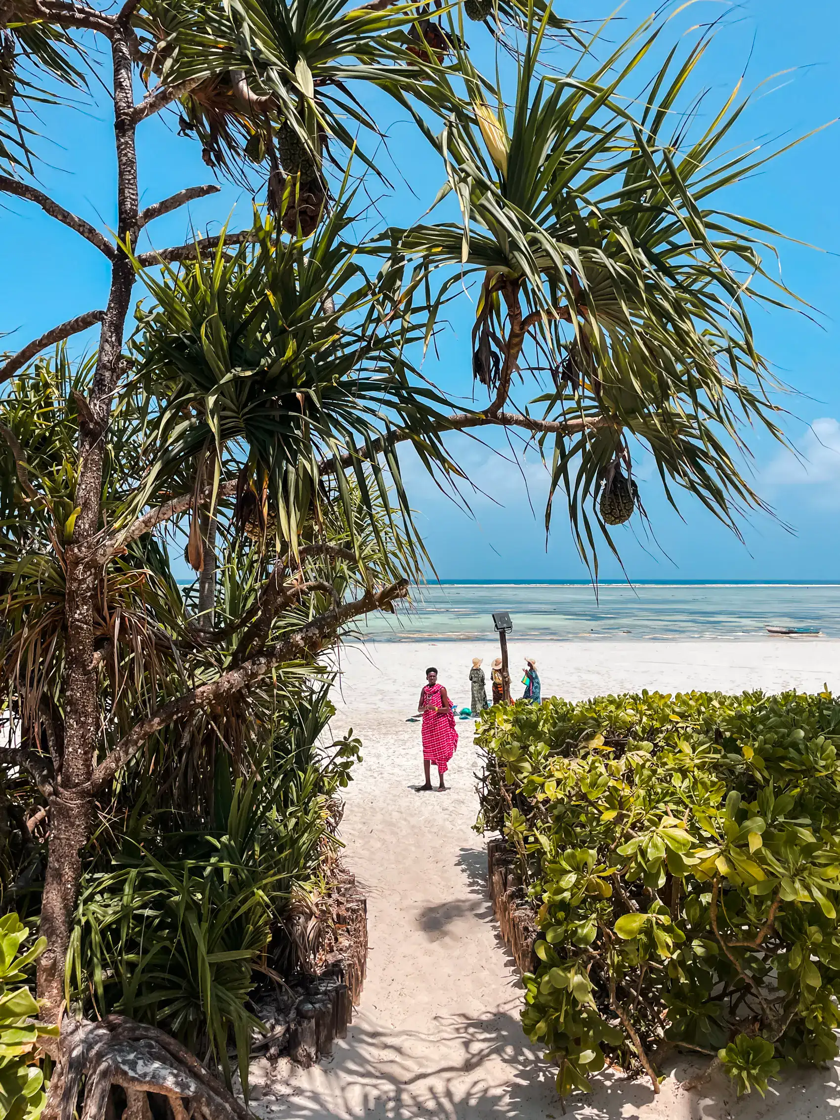 Four women, one with a pink traditional African dress, walking up the white beach, seen from the path down from my hotel with greenery on both sides, turquoise ocean in the background. Best places to stay during 7 days in Zanzibar.