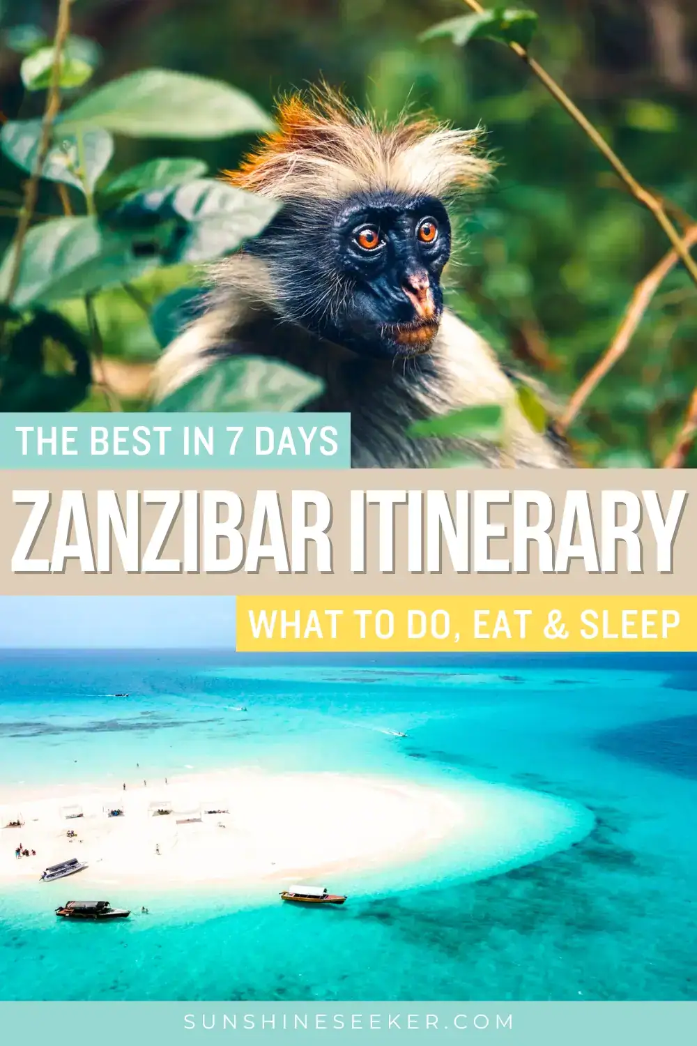 Planning a trip to Zanzibar? This 7-day Zanzibar itinerary includes the best beaches, top things to do, where to stay, what to eat, and essential travel tips to help you plan an unforgettable vacation. Whether you’re visiting Stone Town, Nungwi, or Paje, this guide has everything you need. Zanzibar travel itinerary | Zanzibar beaches | Things to do in Zanzibar | Zanzibar travel guide | Zanzibar food guide | Where to go in Zanzibar