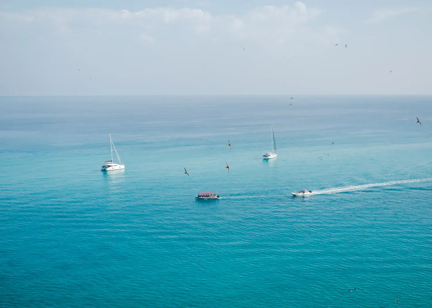 Two white sailboats and two tour boats on the turquoise ocean, birds flying around, early in the morning in Tropea.