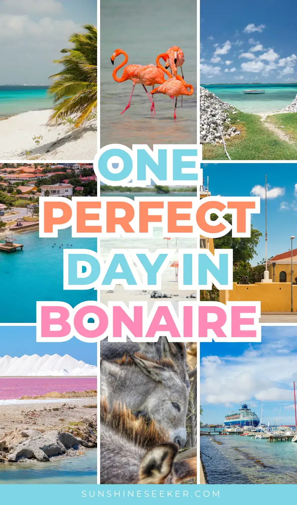 Only have one day in Bonaire? You can still experience the island&rsquo;s top highlights&mdash;without spending a fortune. This travel guide covers the best affordable things to do, see, and eat on this beautiful Dutch Caribbean island. Perfect for cruise stops or quick island escapes! │ what to do in Bonaire │ Bonaire on a budget │ one day Caribbean itinerary │ affordable Caribbean travel │ Bonaire shore excursions │ budget travel guide │ Caribbean cruise