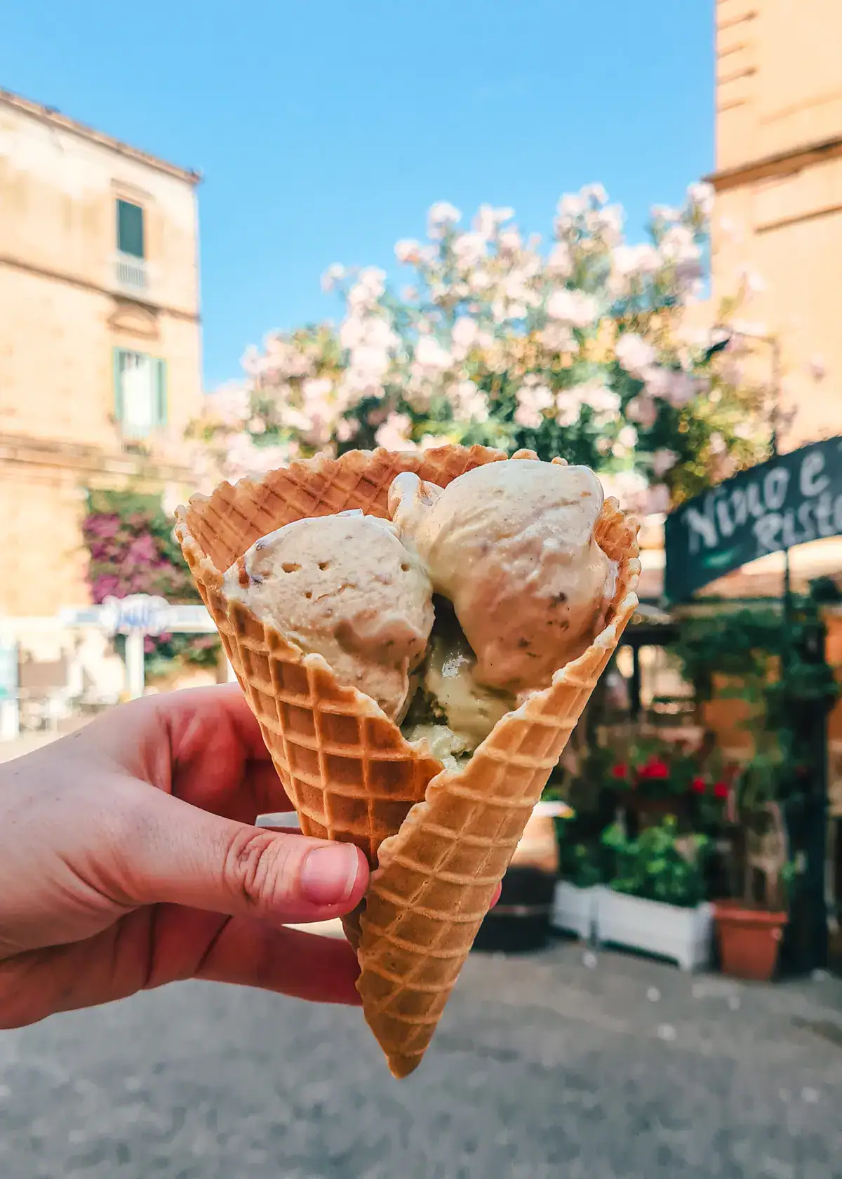 Two scoops of the famous red onion ice cream in a waffle cone from Gelati Tonino, hold close to the camera with a white flower tree in the background in Tropea.