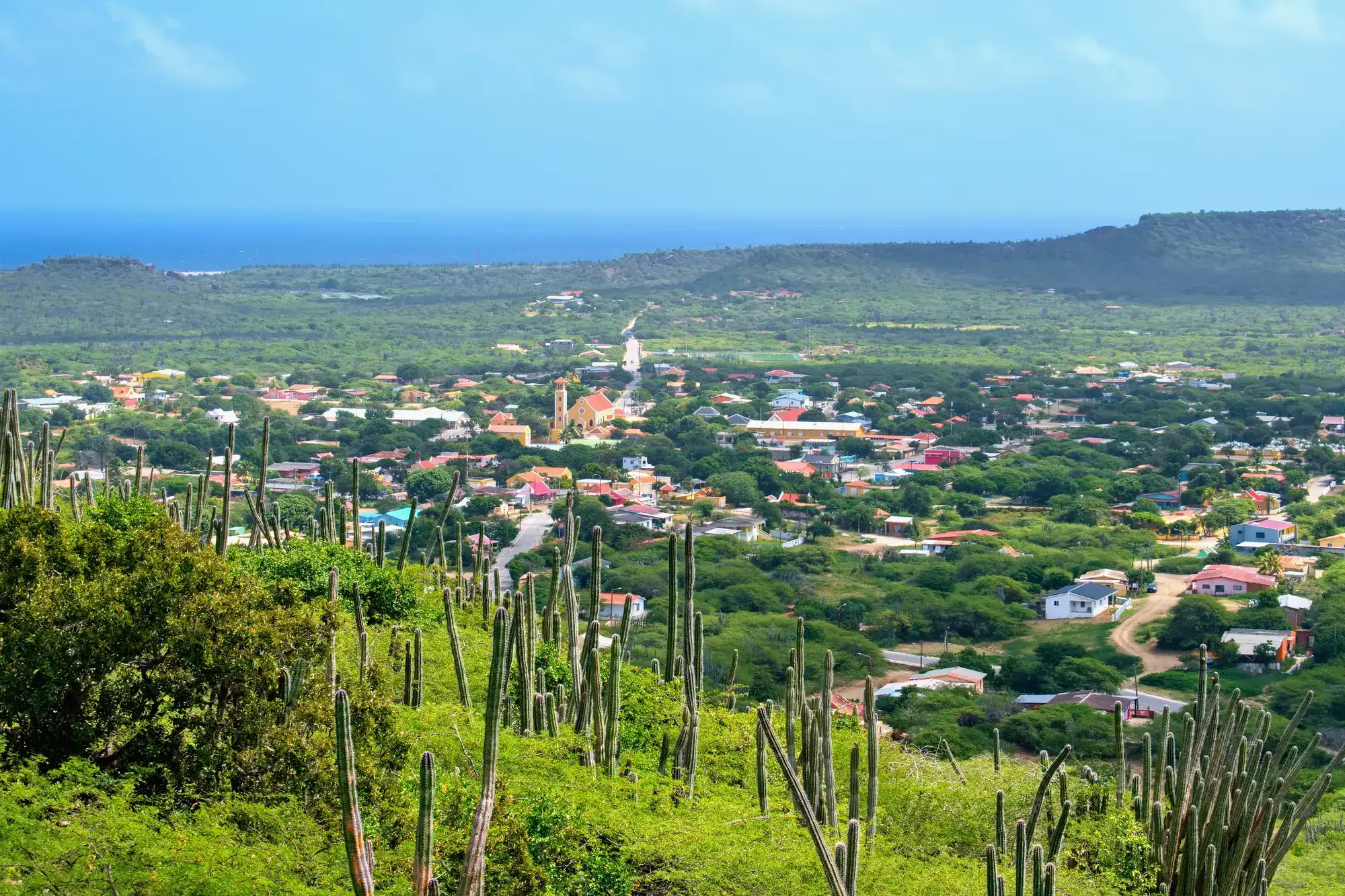 View from a green hill with cacti of Rincon, the oldest village in Bonaire, with a yellow church in the middle, surrounded by greenery.