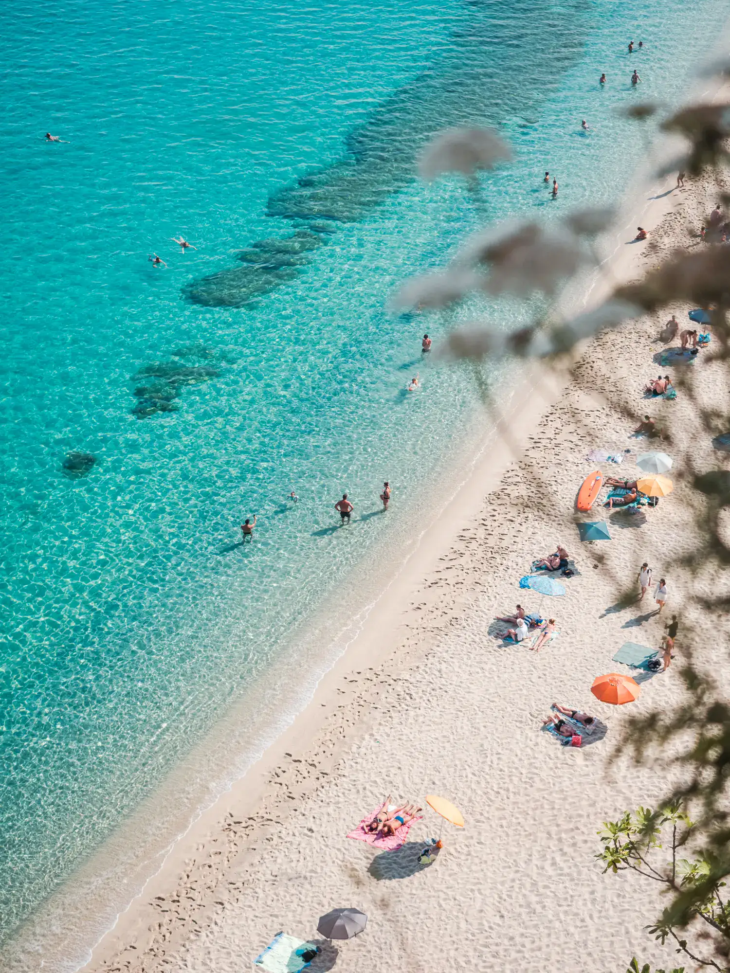 View from above of people walking in shallow turquoise water, along the light beige colored sandy Spiaggia della Rotonda Beach, flowers in the foreground, in Tropea, Calabria, Italy.