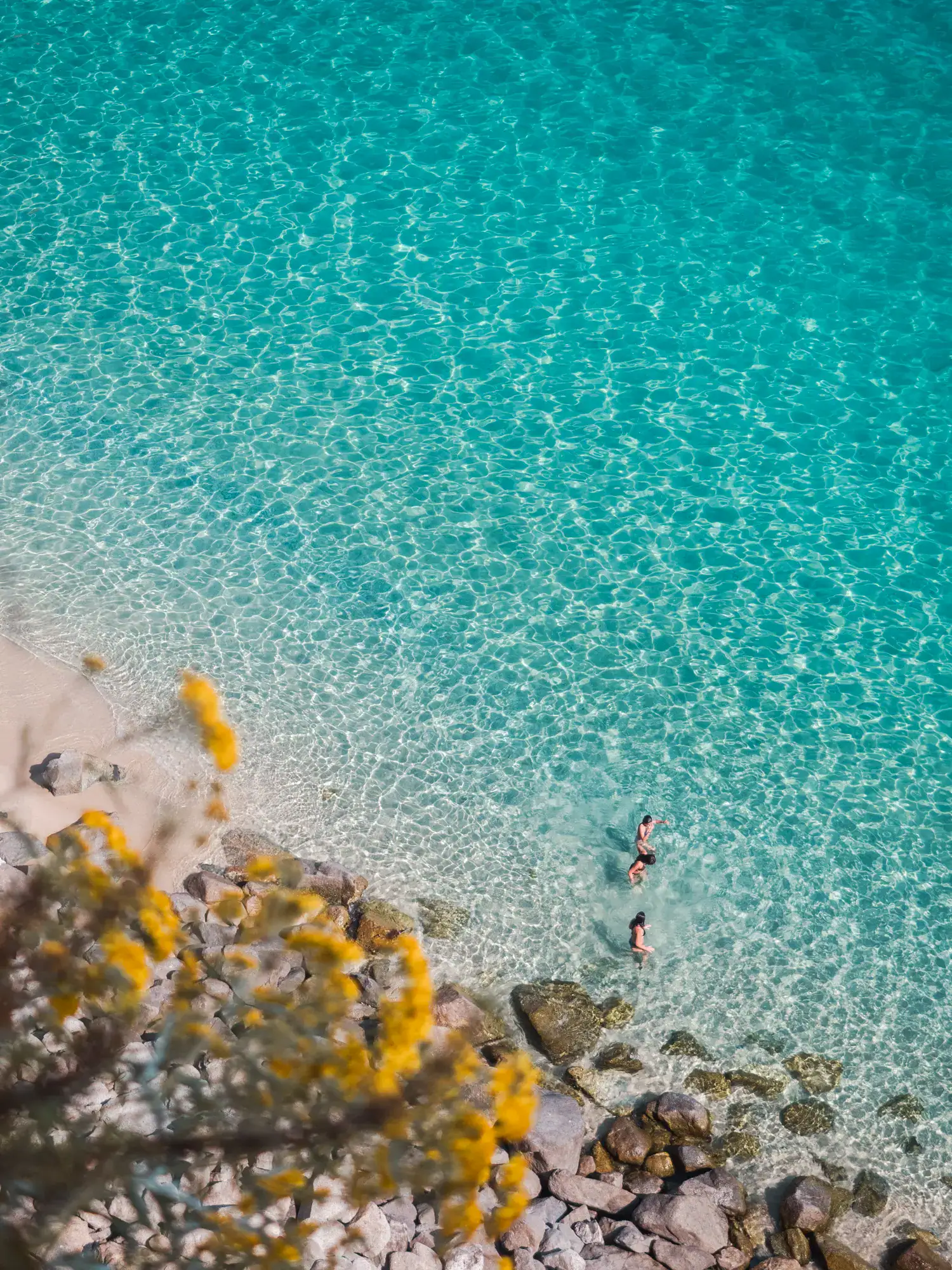 View from above of crystal clear turquoise water, with some stones along the shore, yellow flowers in the foreground, Spiaggia della Rotonda in Tropea, Italy.