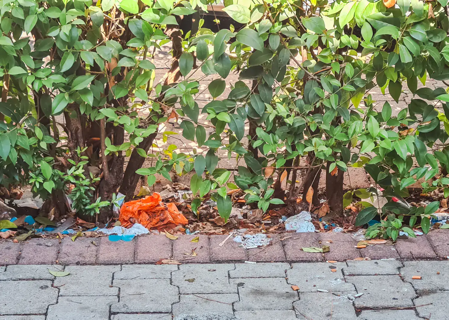 Garbagem orange plastic bag, bottles, cigarette butts, under a green hedge at the edge of a tiled street in Albania.